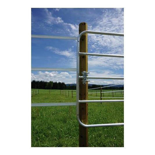 Octo Wood - Streckenpfahl - holz - Produktbild 4