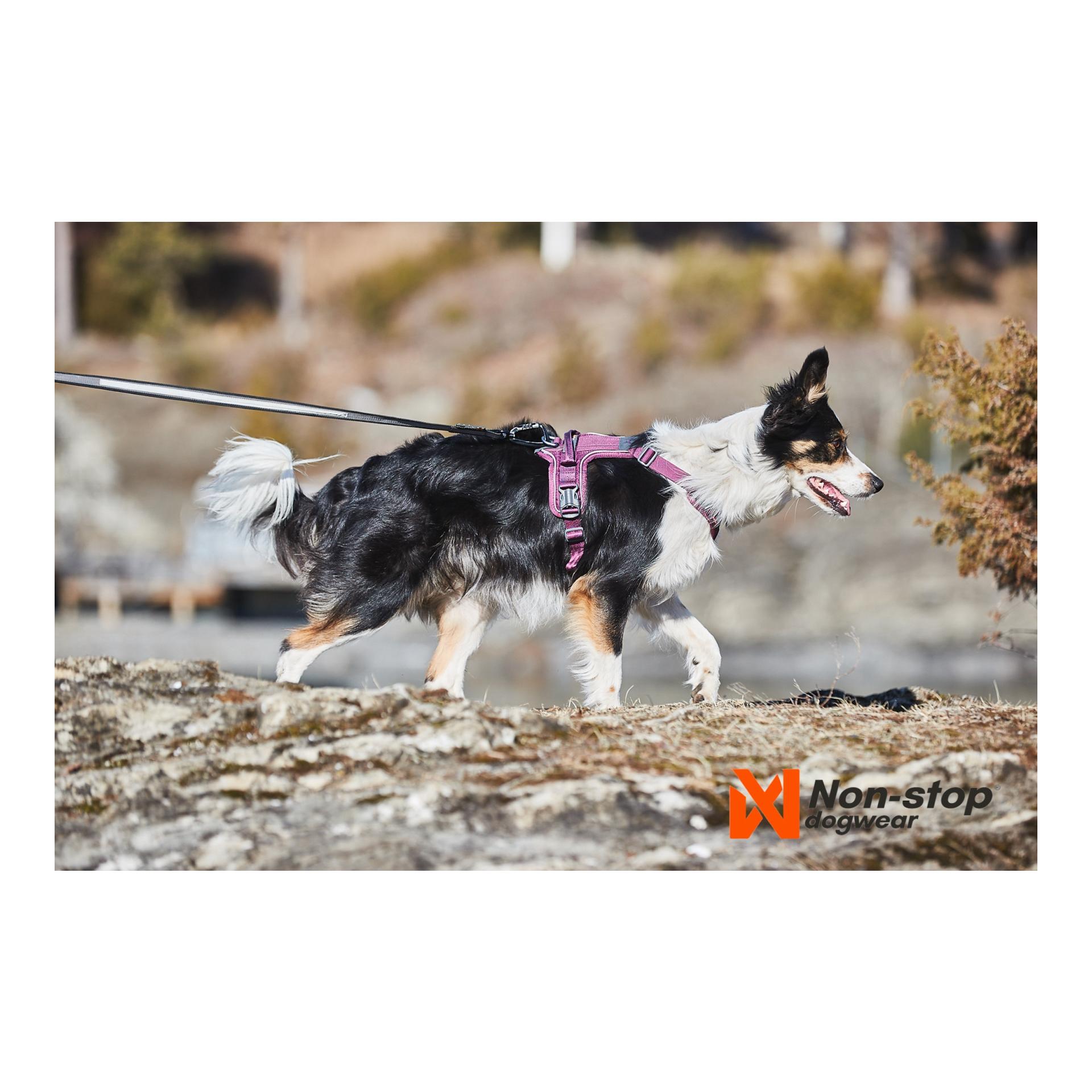 Ramble Harness - purple - Produktbild 3