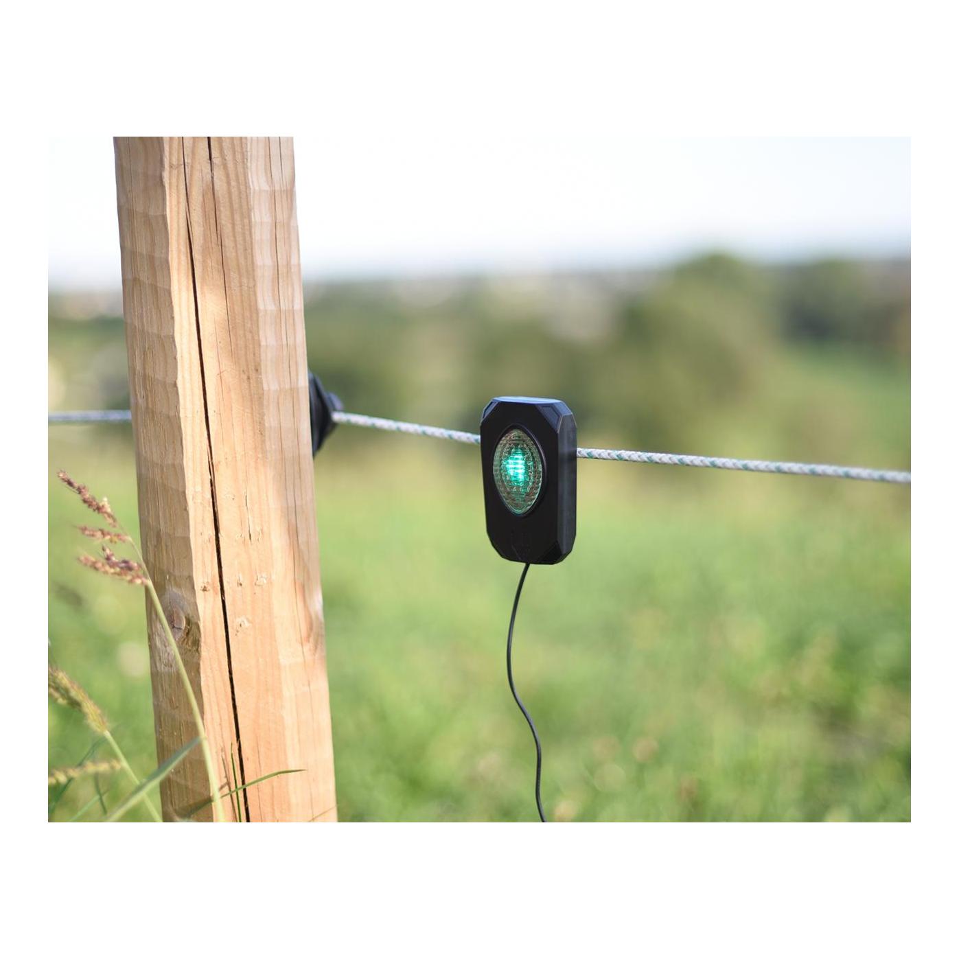 Pulse Flash - Produktbild 2