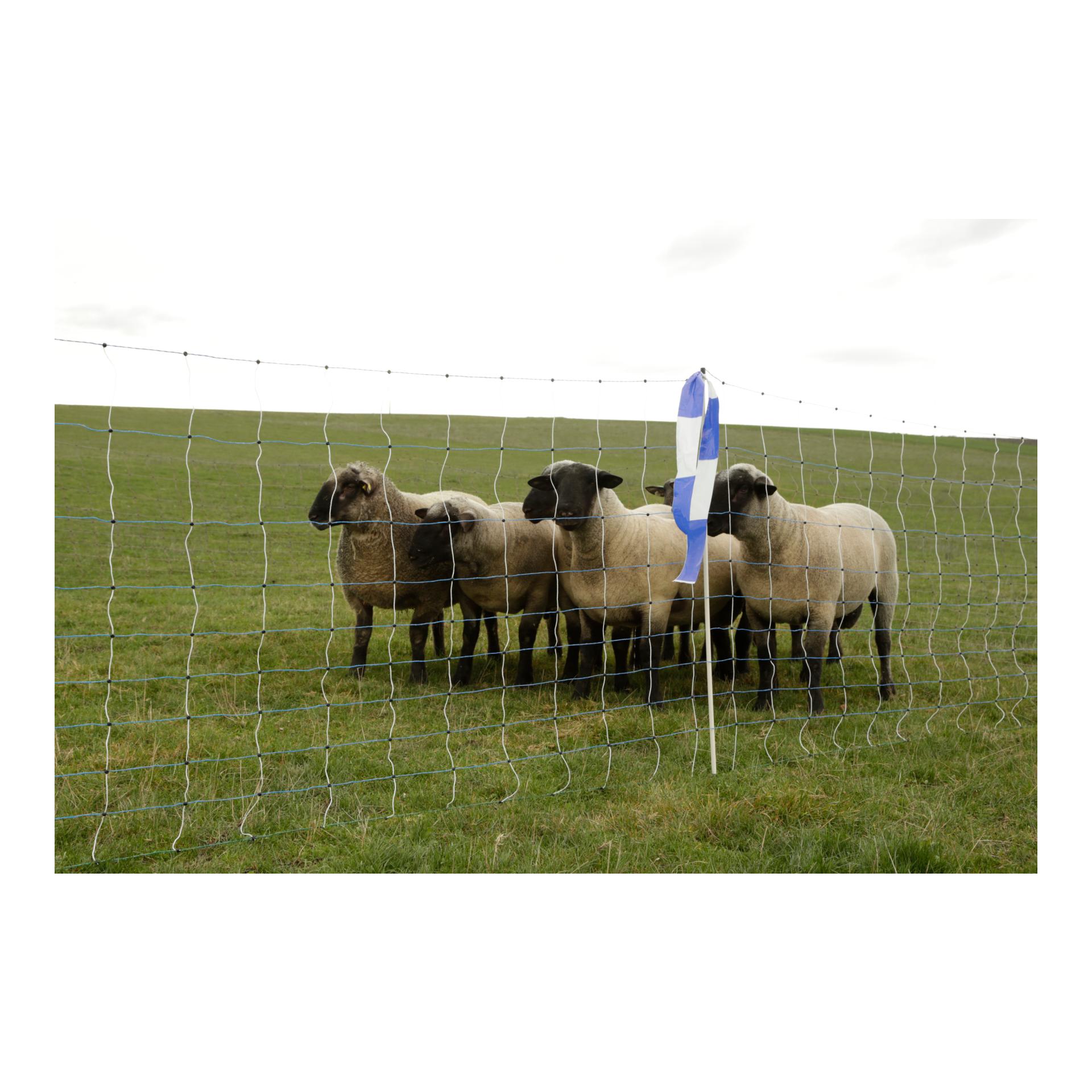 Weidenetz OviNet Maxi - 122 cm x 50 m - Produktbild 2