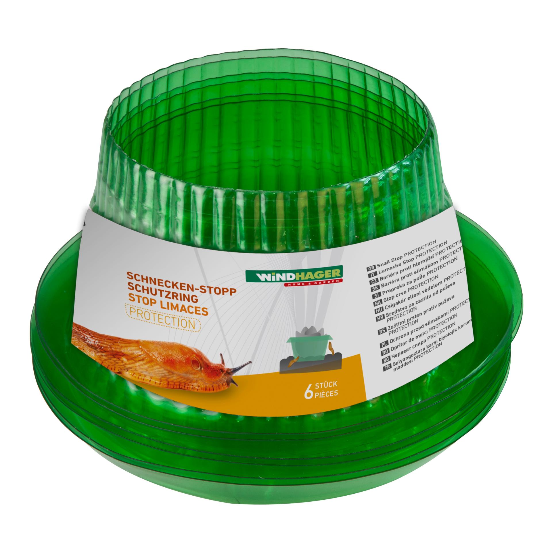 Schnecken - Schutzring - grün transparent - Produktbild 1