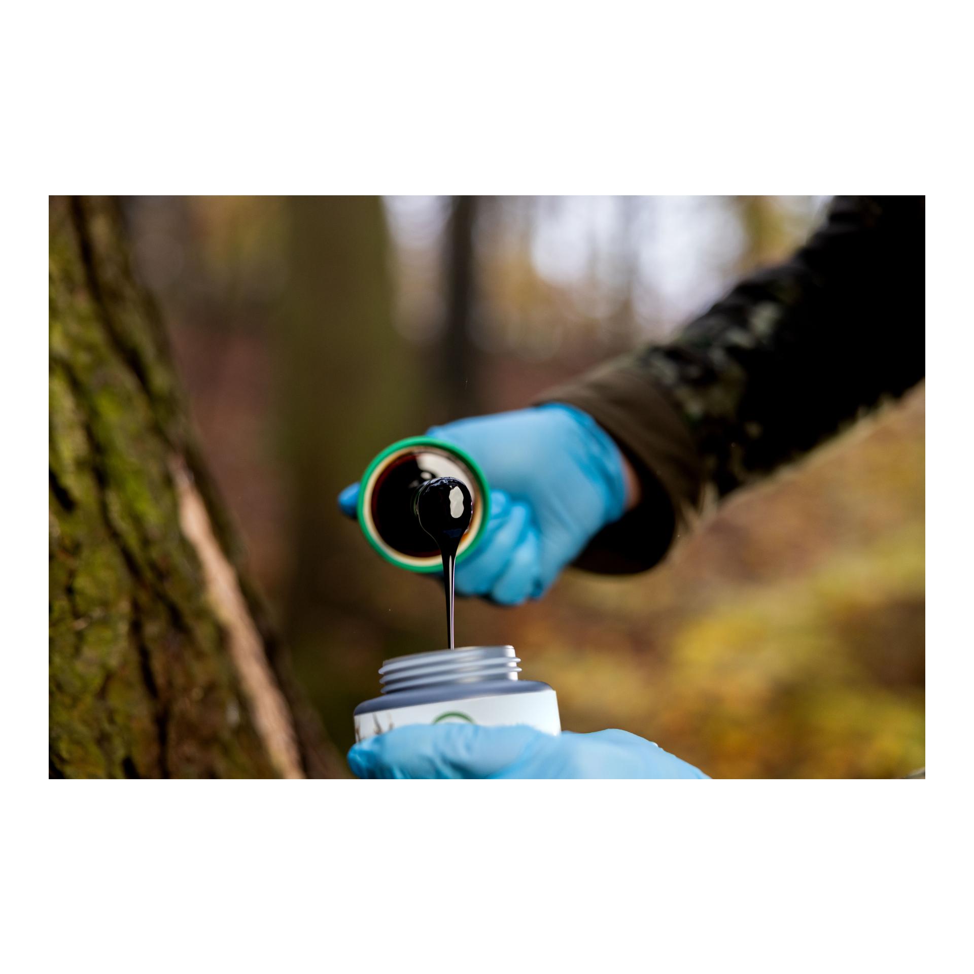Buchenholzteer - 500 ml Dose + Pinsel - Produktbild 2