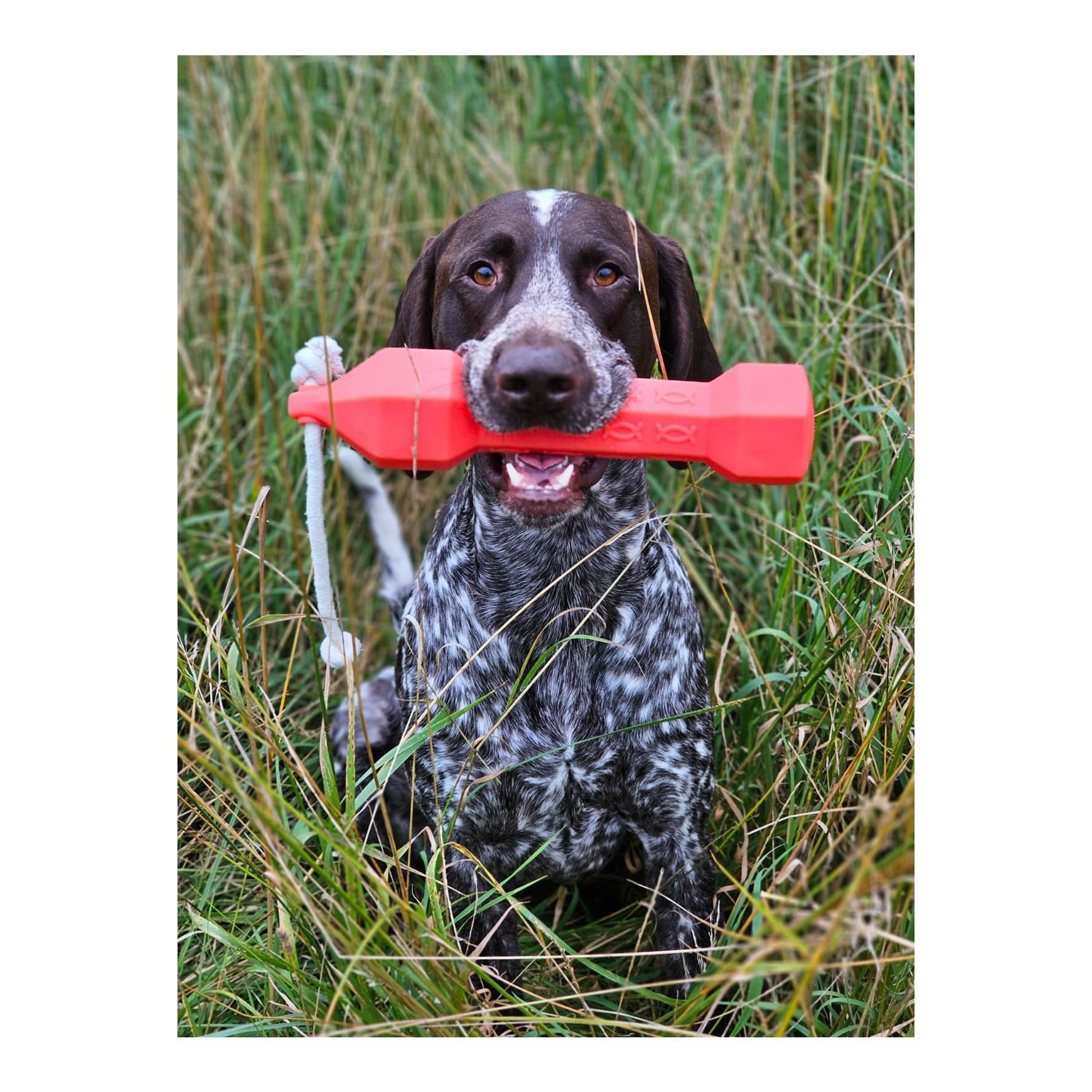 Apportierdummy Balance Bumper 320g - Produktbild 2