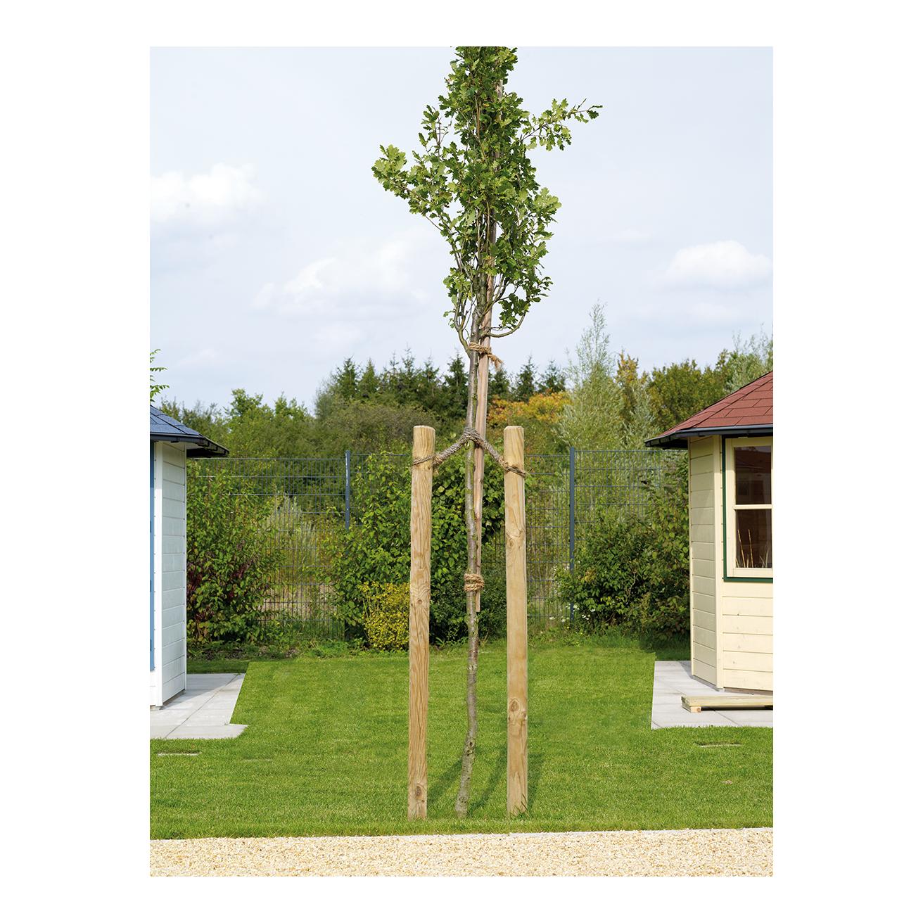 Holzpfahl - Produktbild 4