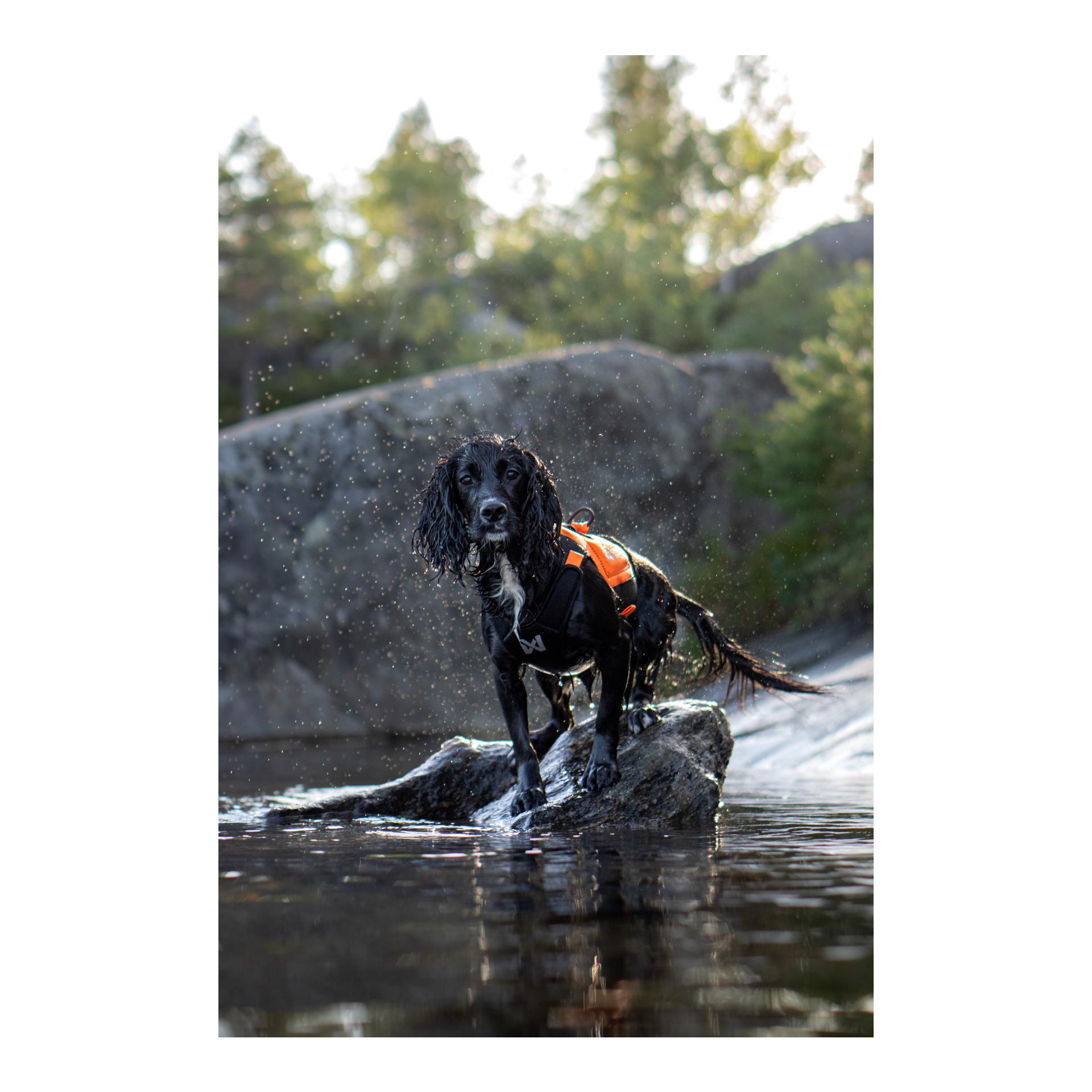 Protector neoprene vest - Produktbild 4