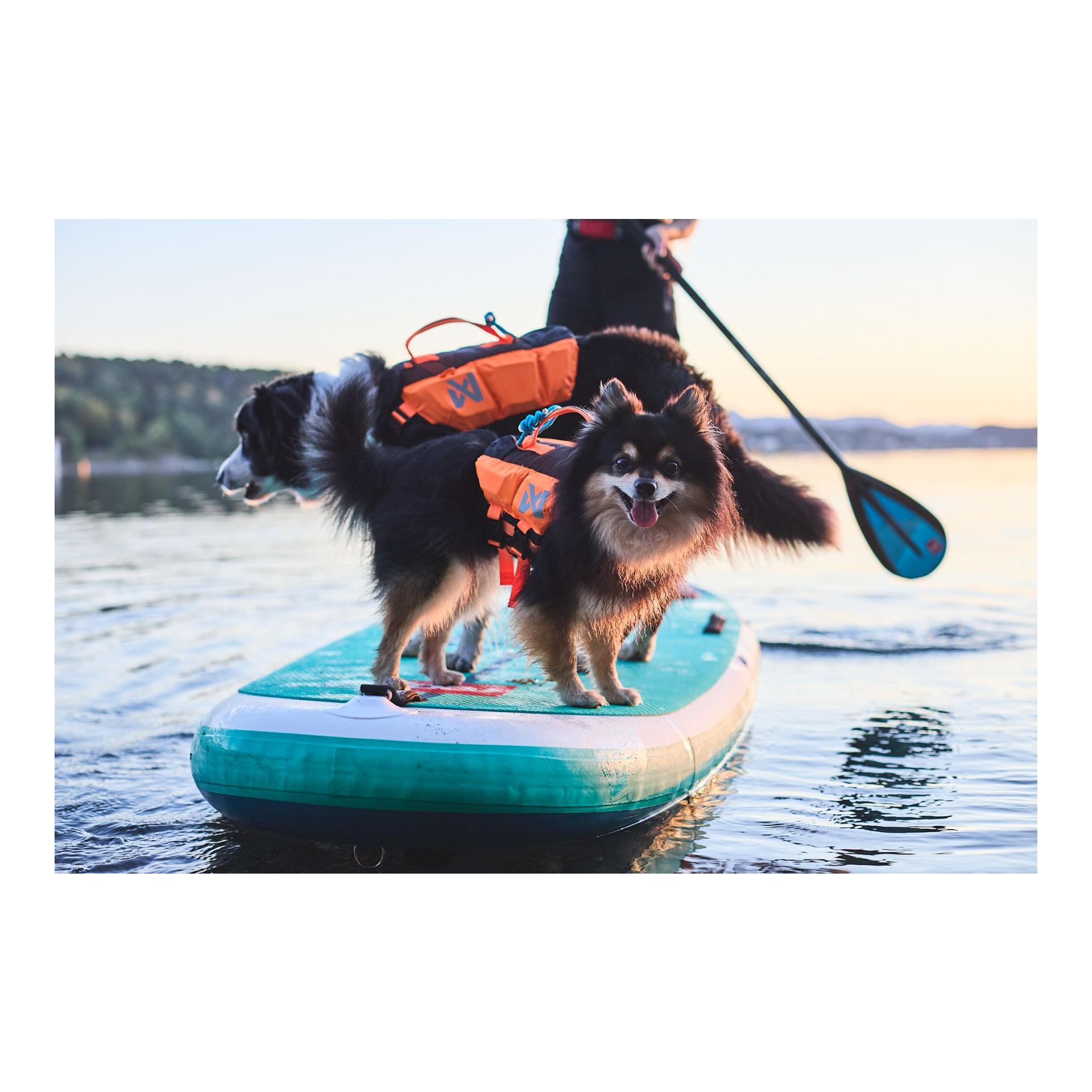 Protector Life Jacket Hundeschwimmweste - Produktbild 4