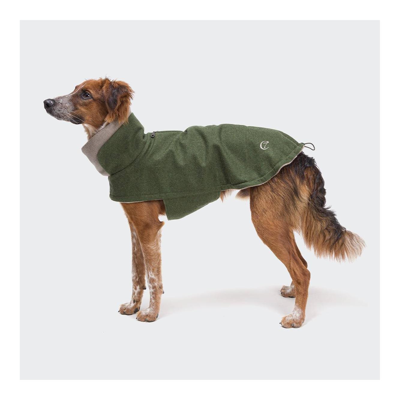 Hundemantel Brooklyn Regulär - fern green - Produktbild 5