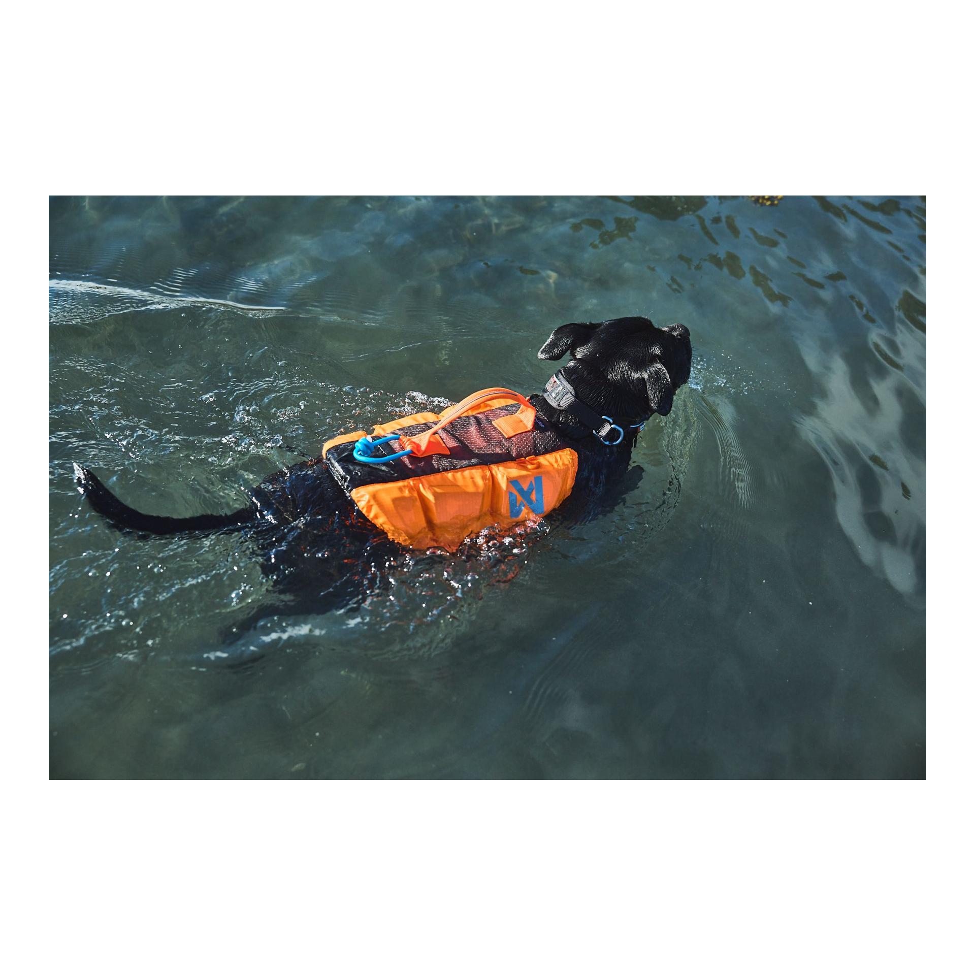 Protector Life Jacket Hundeschwimmweste - Produktbild 3