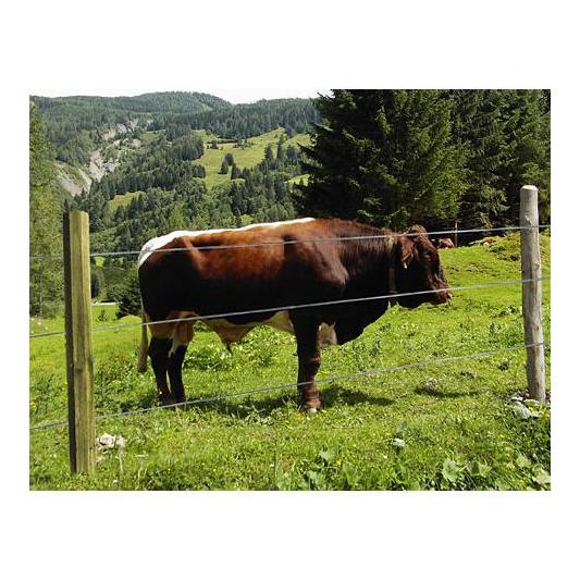 Octo Wood - Streckenpfahl - holz - Produktbild 2