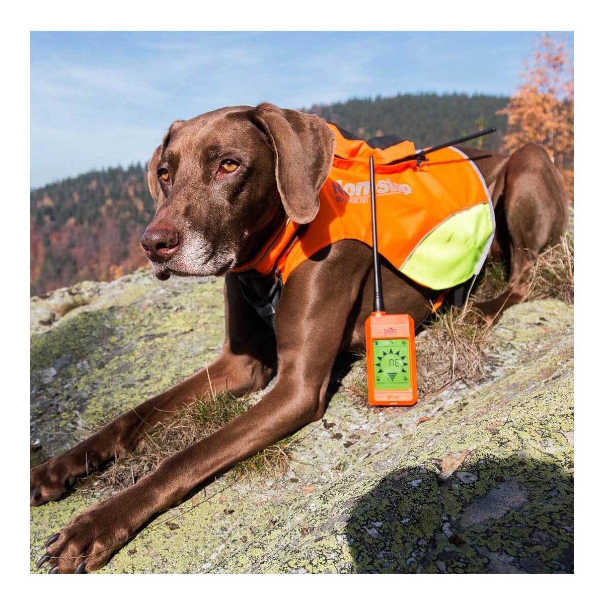GPS X20 Hundeortungsgerät - Produktbild 3