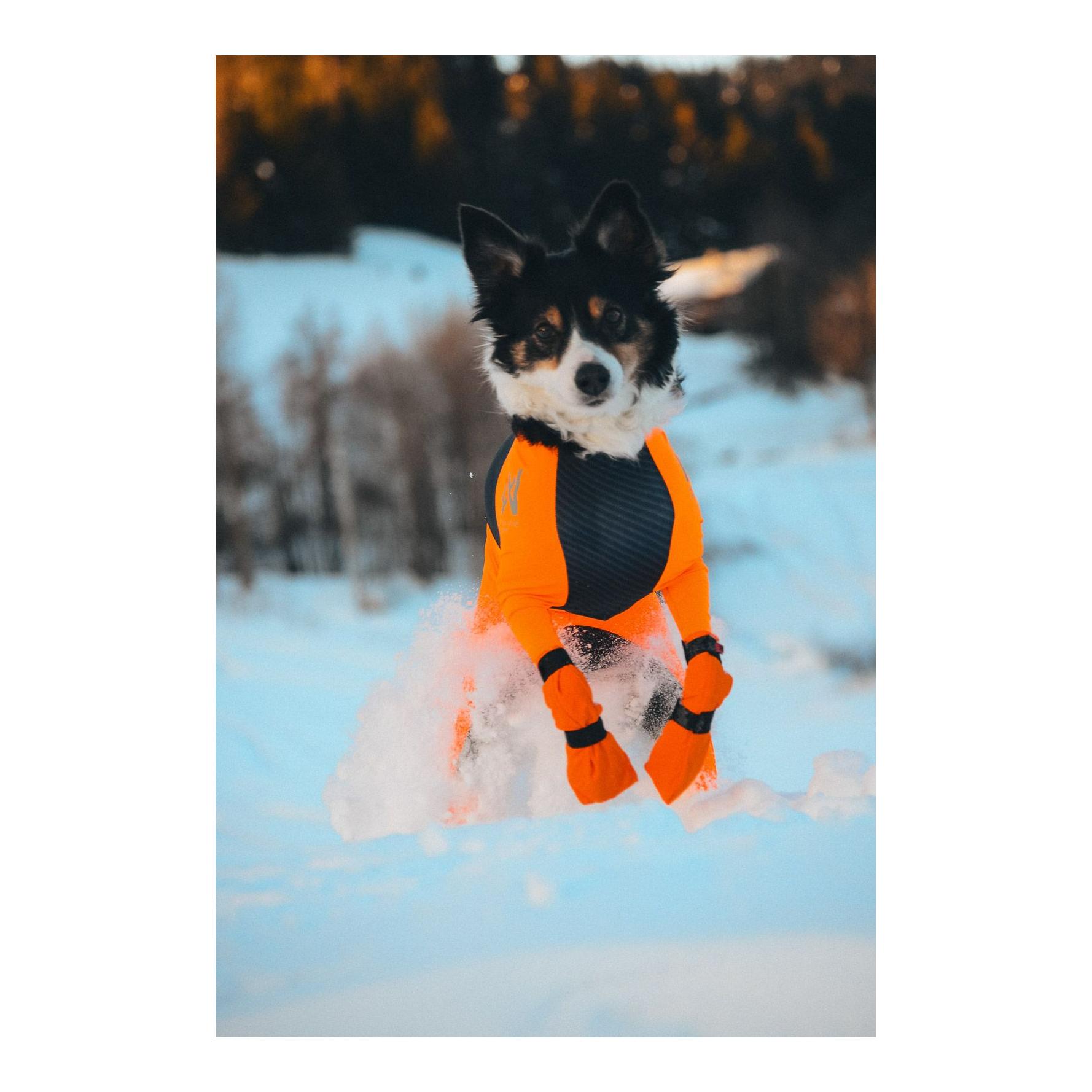 Contact Bootie High Hundeschuhe - Produktbild 2