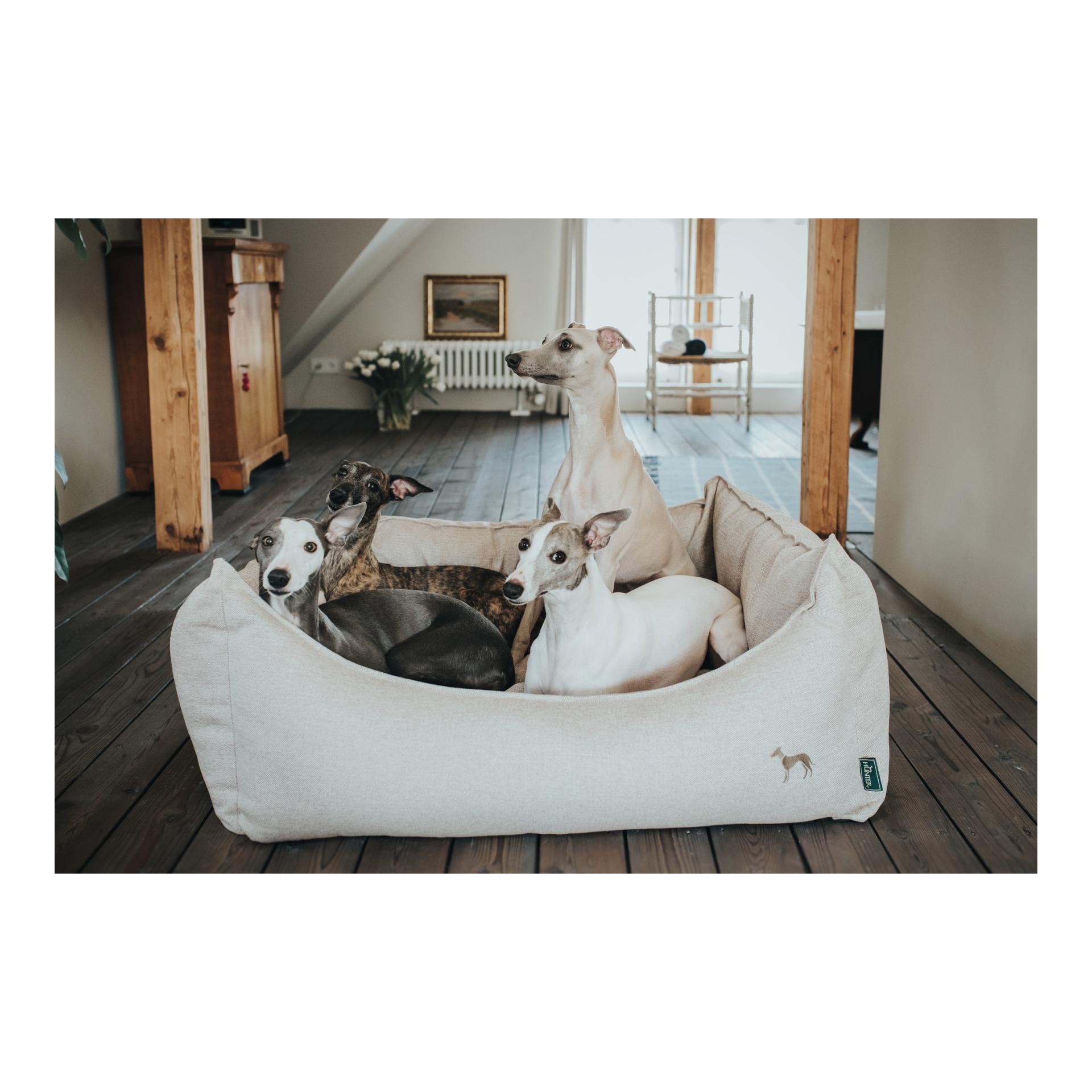 Hundesofa Livingston webstoff - beige - Produktbild 3