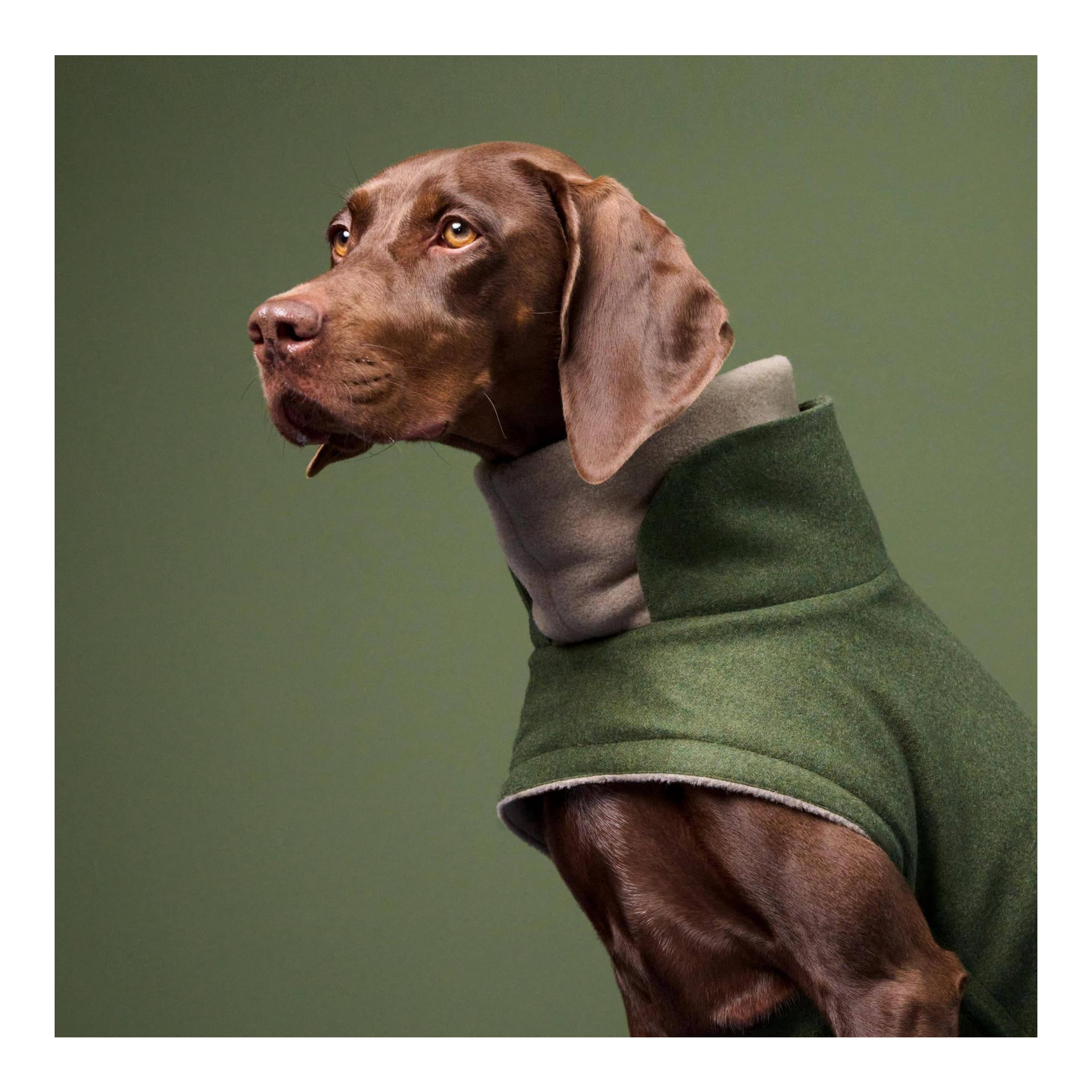 Hundemantel Brooklyn Regulär - fern green - Produktbild 3