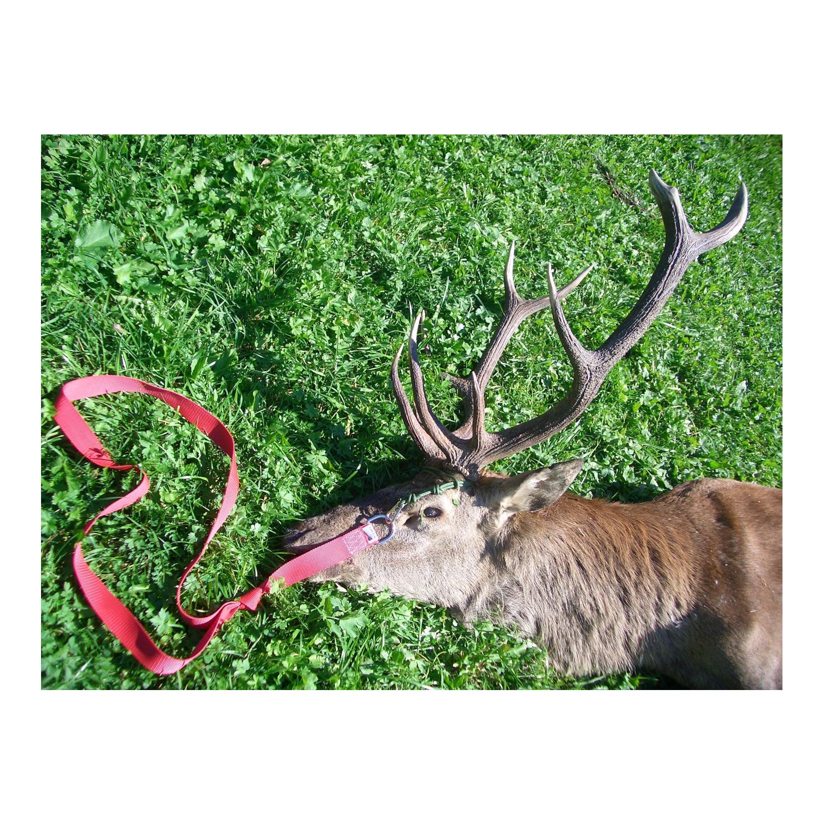 Wildbergehilfe Stag - Produktbild 4
