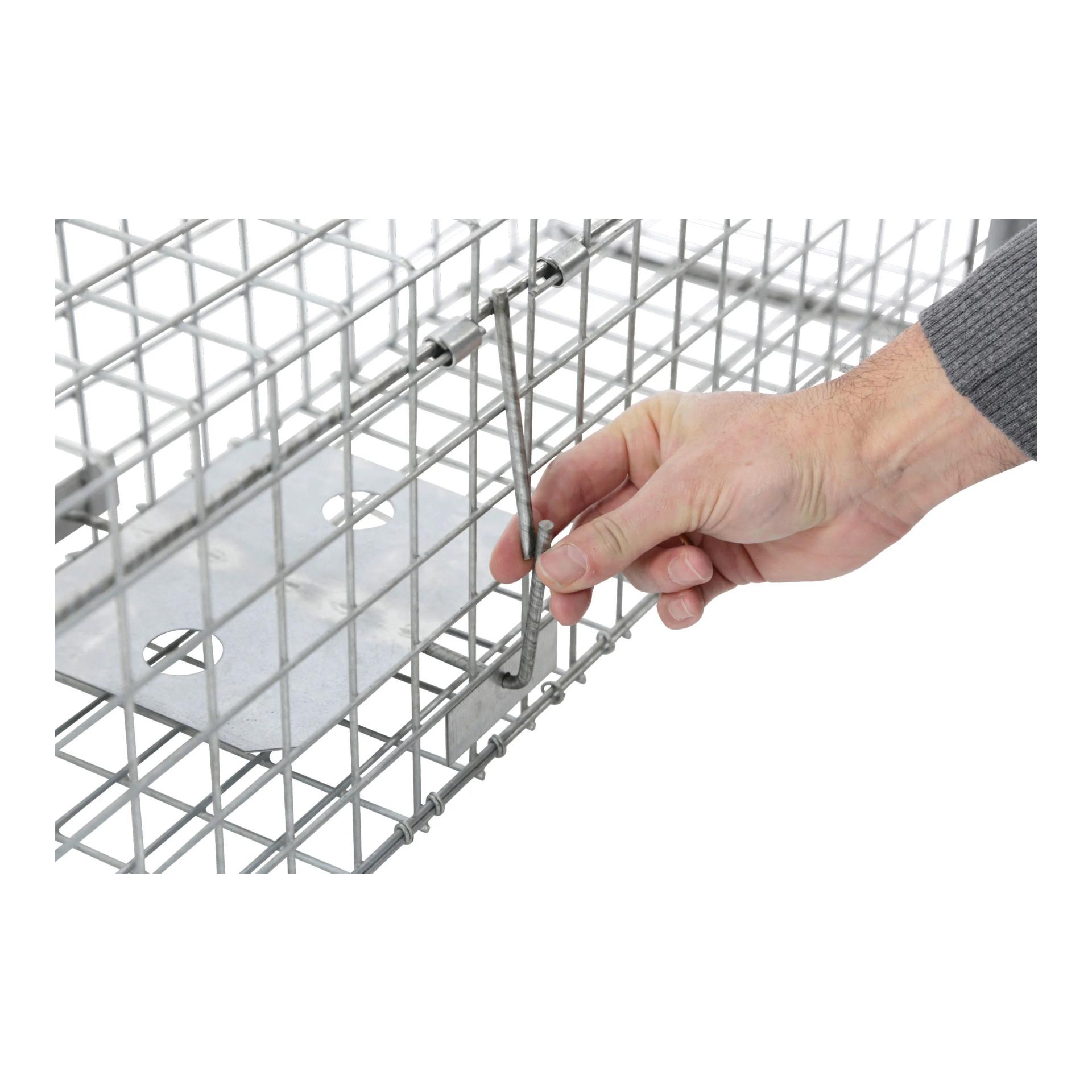 Kastenfalle Alive Predator Super - Produktbild 4