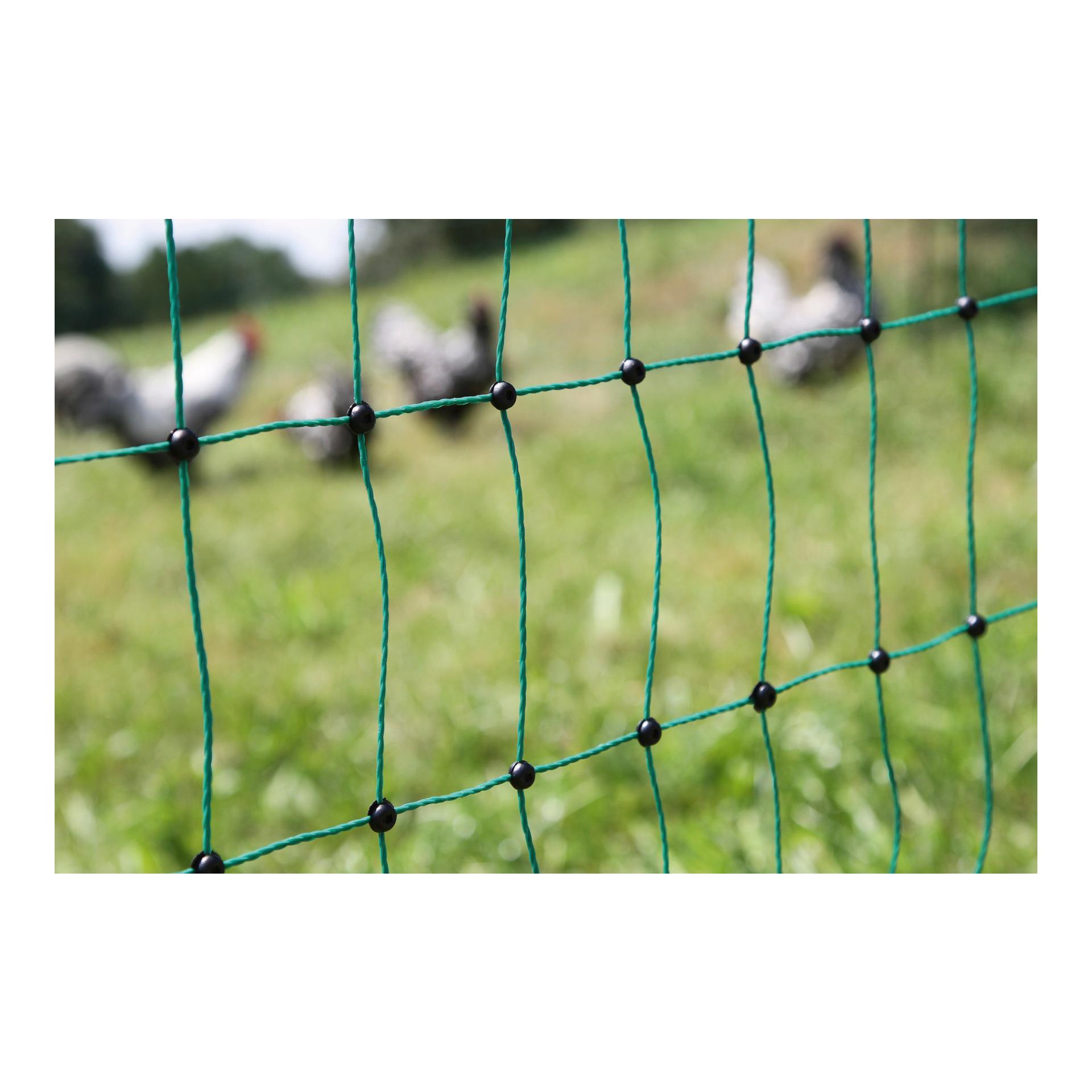 Geflügelnetz PoultryNet - Doppelspitz - Produktbild 2