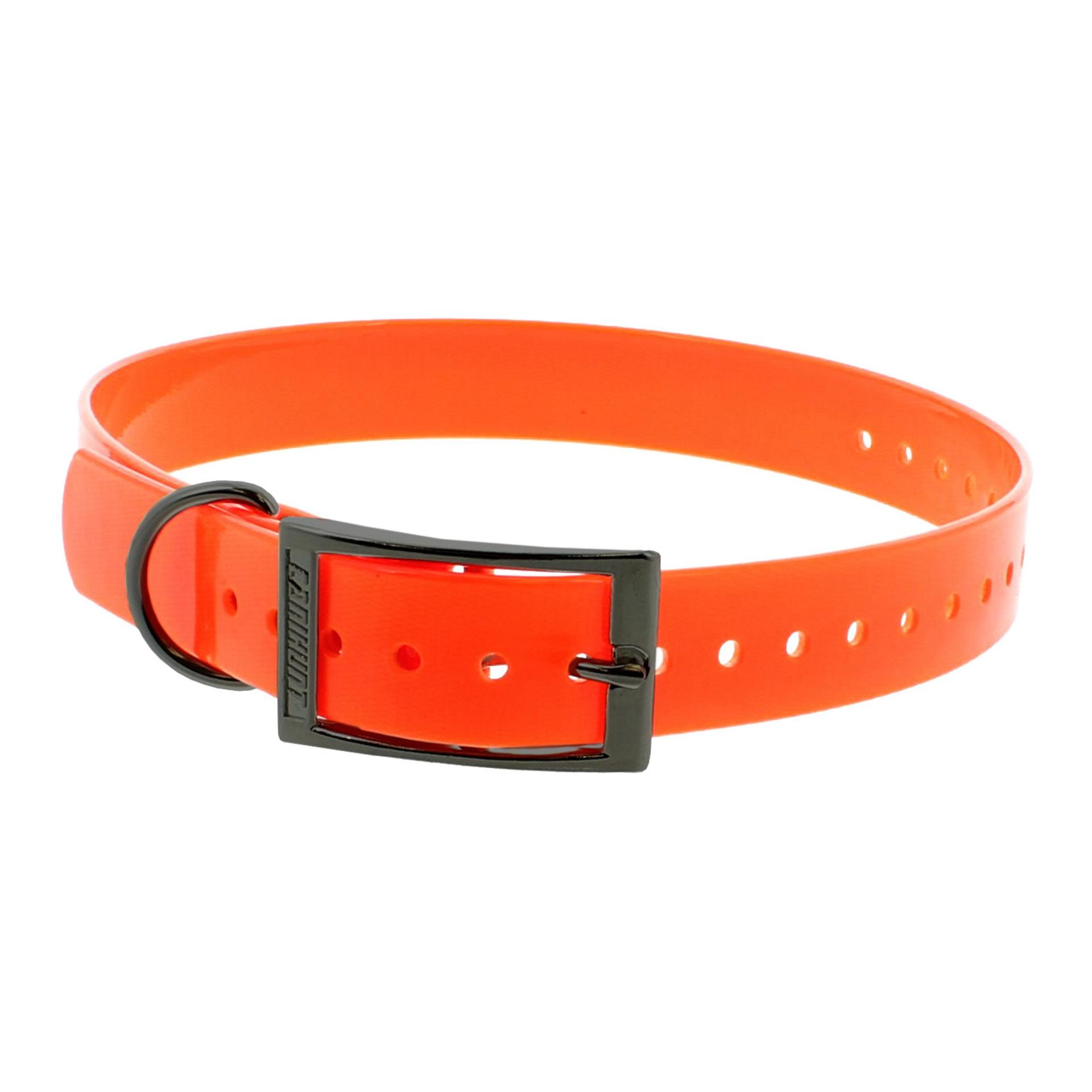 Hundehalsband CTECH - Produktbild 1