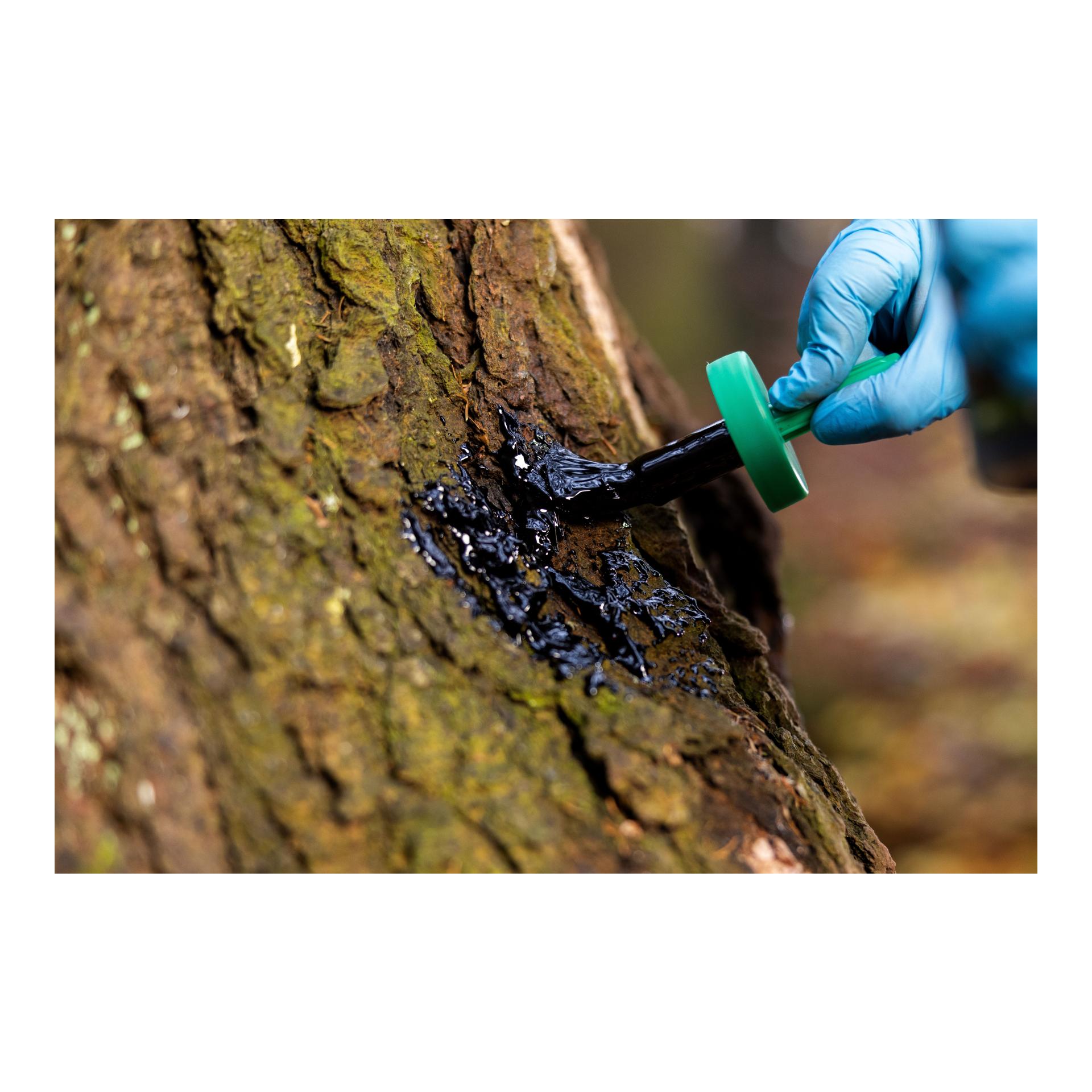 Buchenholzteer - 500 ml Dose + Pinsel - Produktbild 4