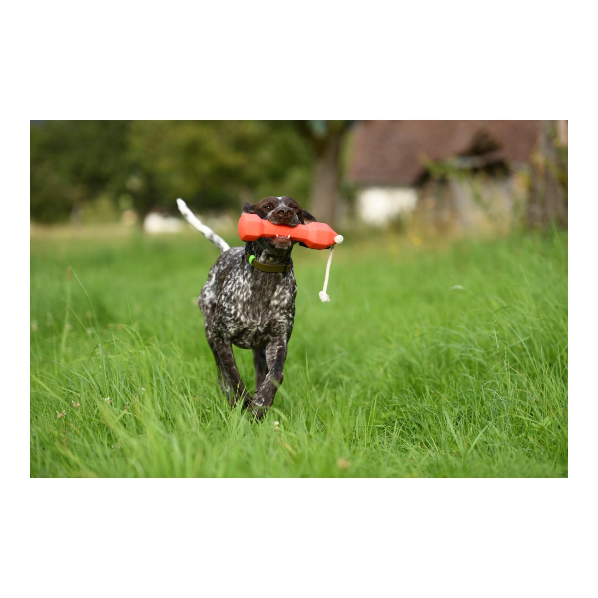 Apportierdummy Balance Bumper 320g - Produktbild 6