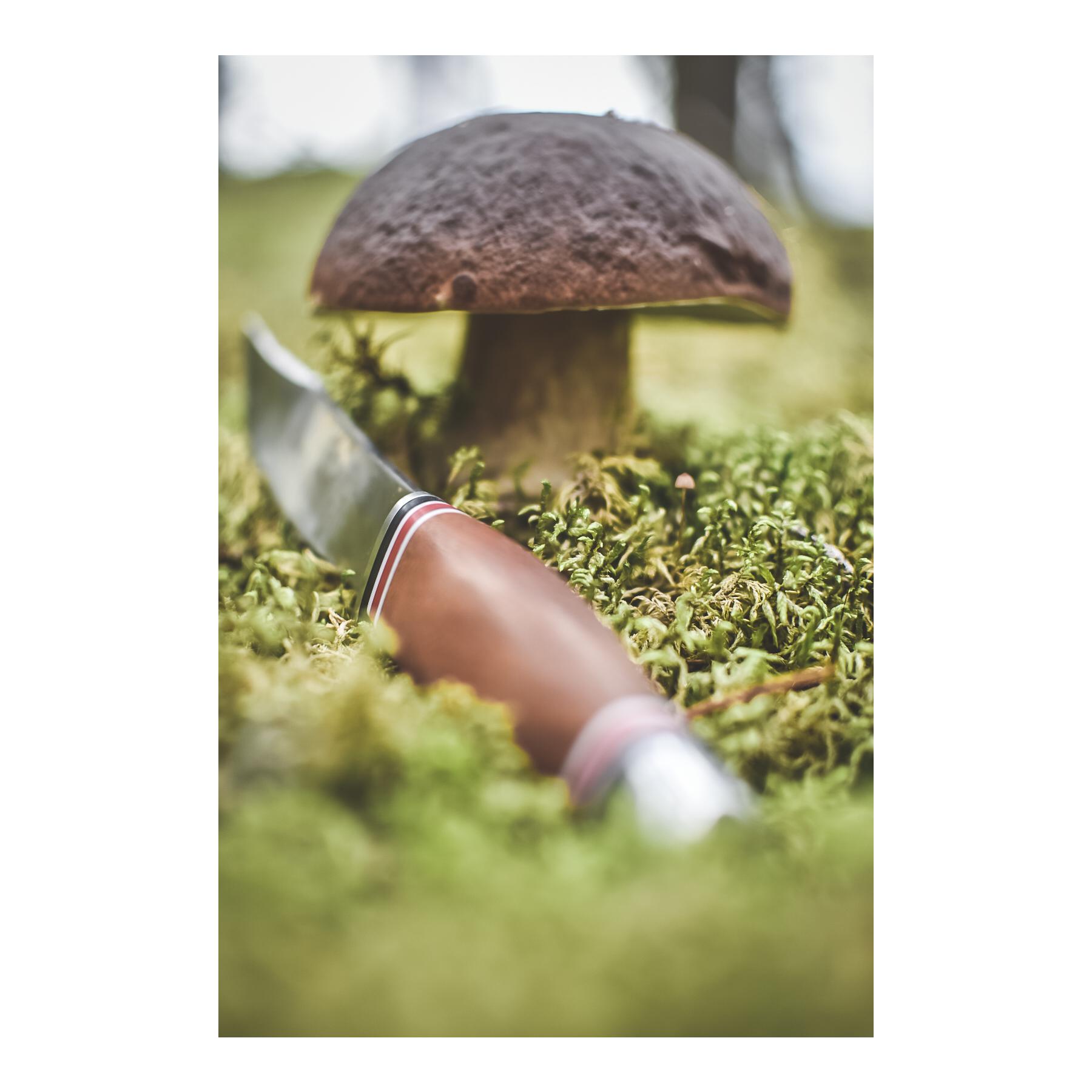 GEILO - Jagd/Outdoormesser mit Lederscheide - Produktbild 2