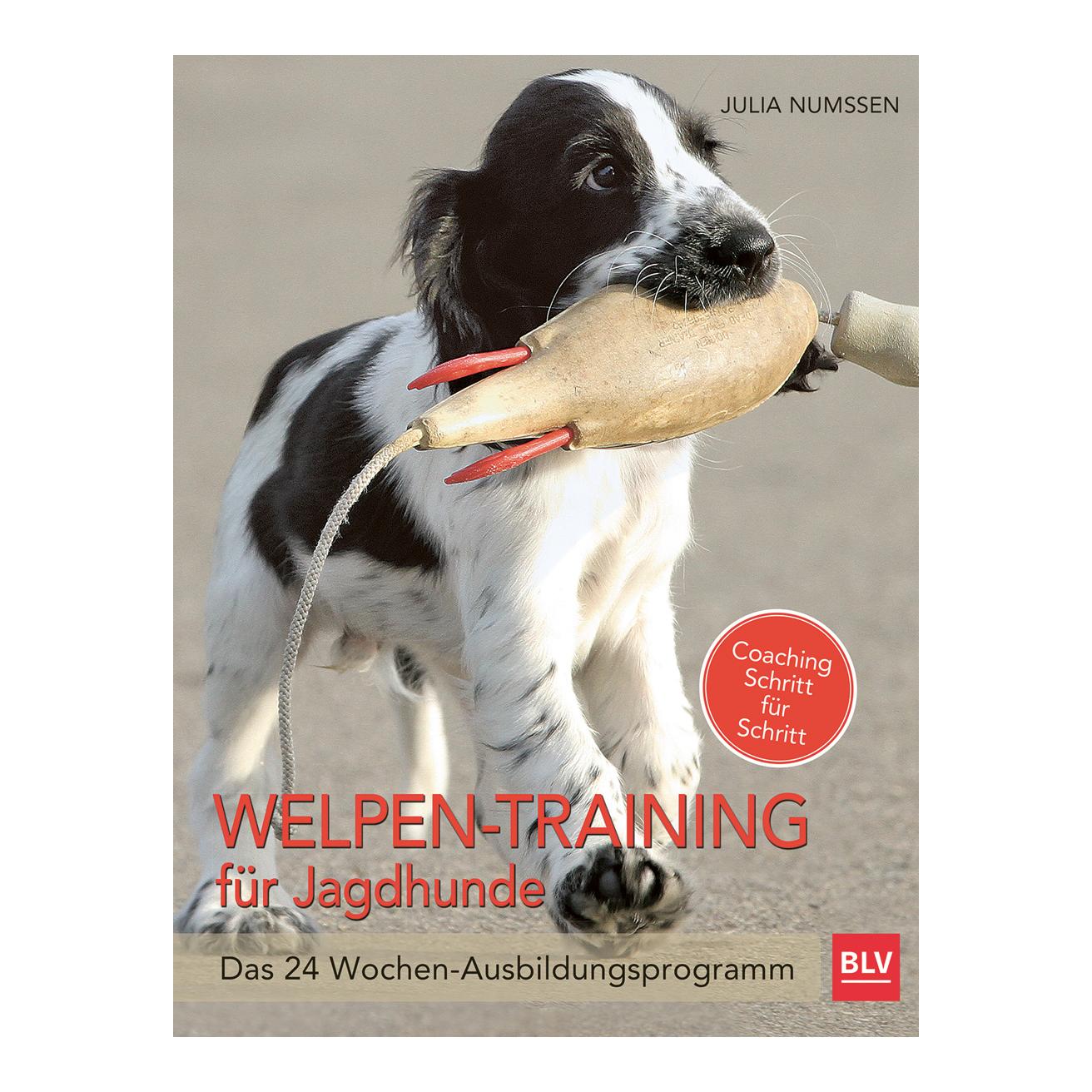 Welpen-Training für Jagdhunde - Produktbild 1
