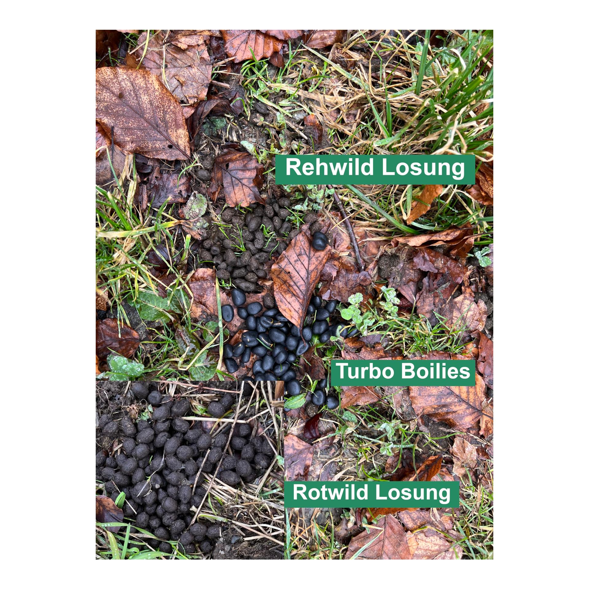 Turbo Mais Boilies - Produktbild 2