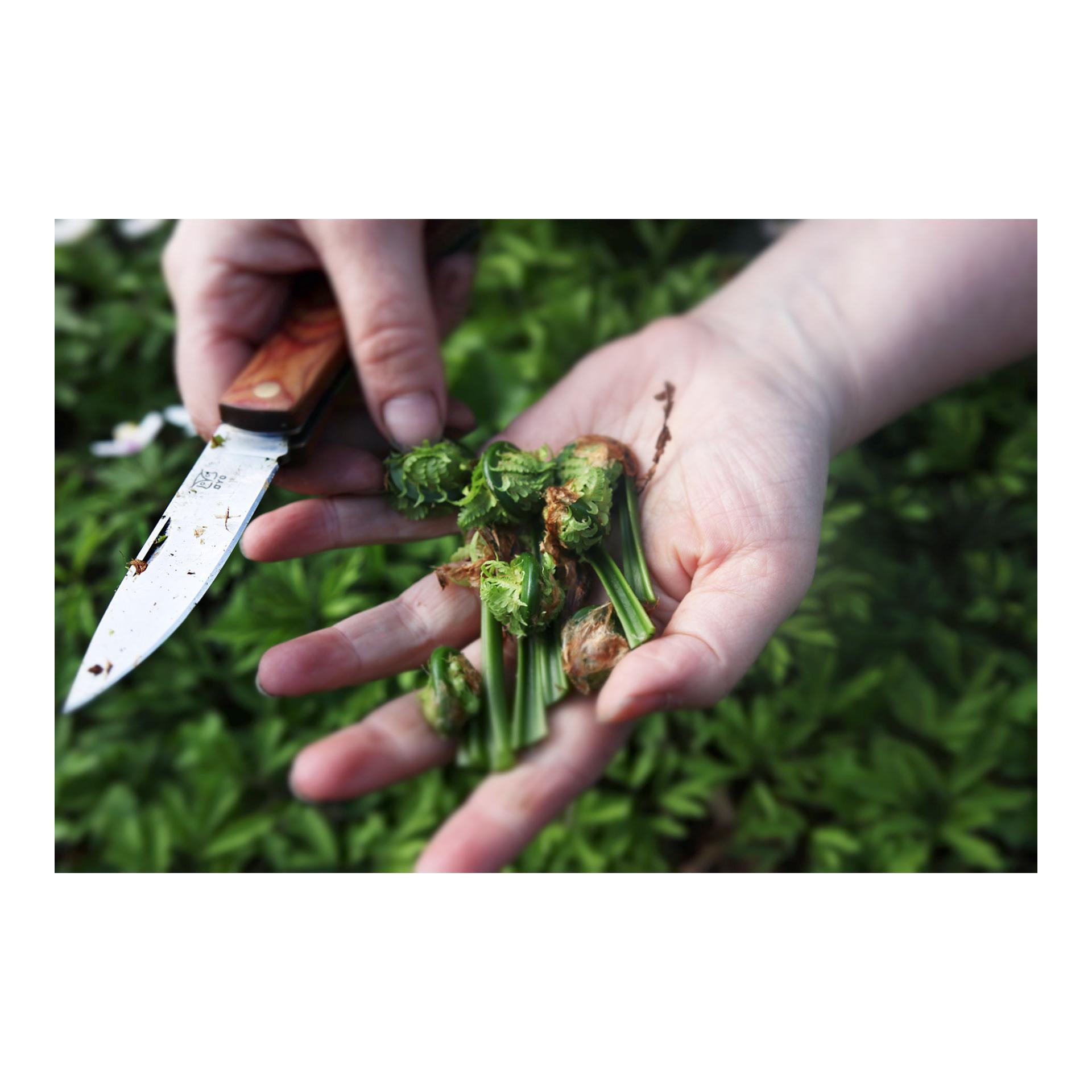 MARKA - Jagd/Outdoorklappmessesr mit Lederhülle  - Produktbild 5