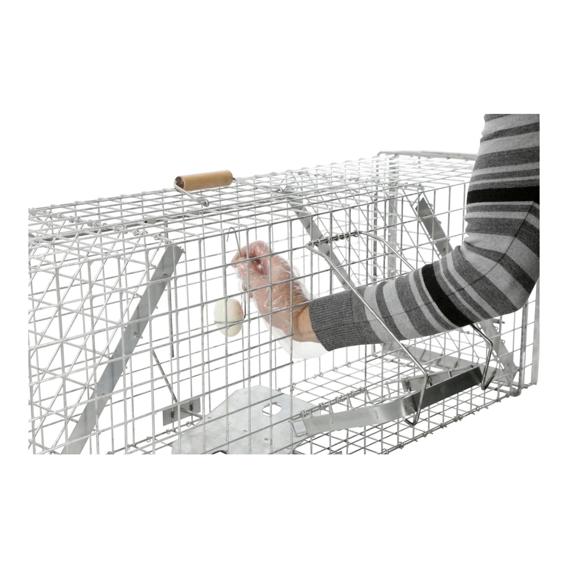 Kastenfalle Alive Predator Super - Produktbild 3