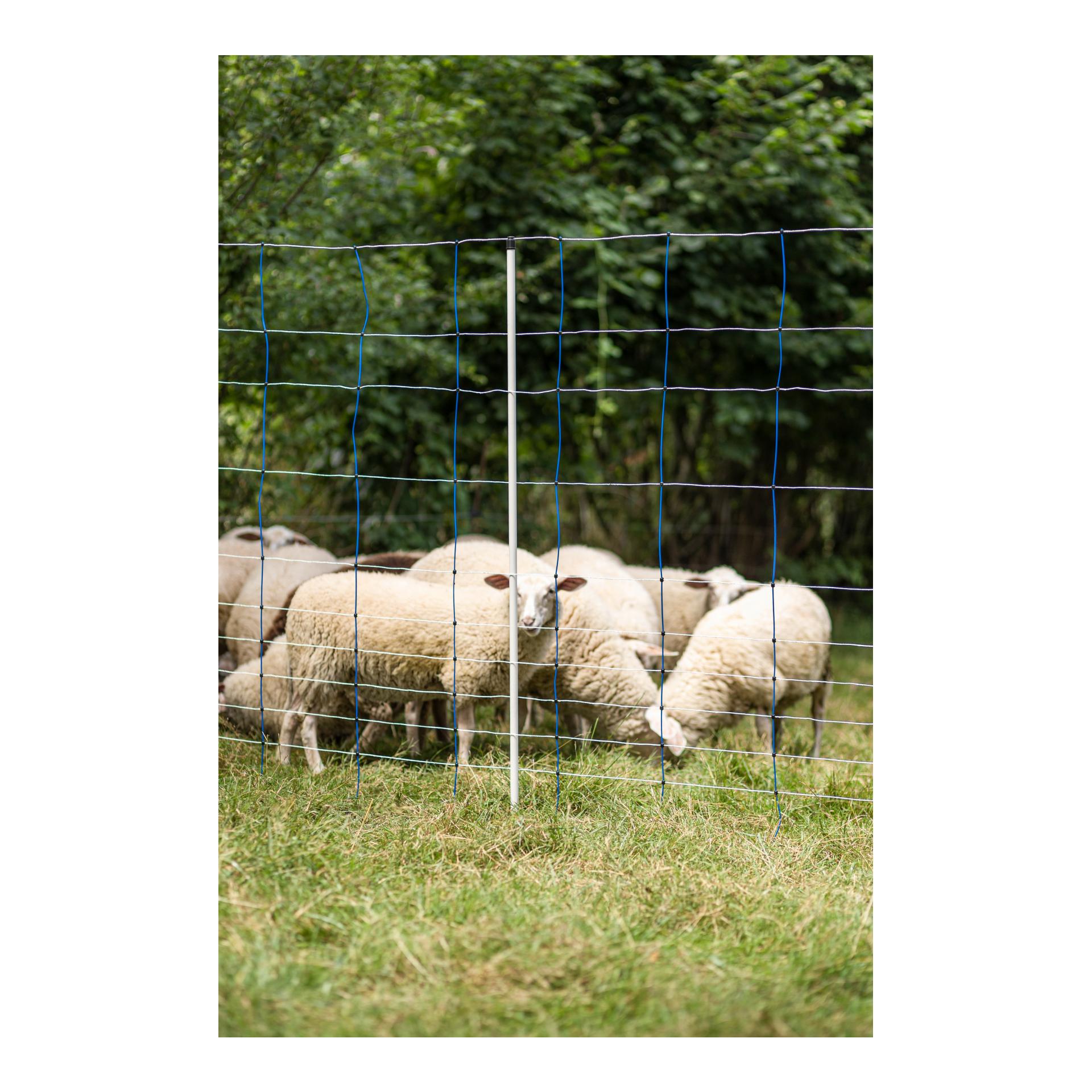 Weidenetz Titan Net - Doppelspitz - Produktbild 5