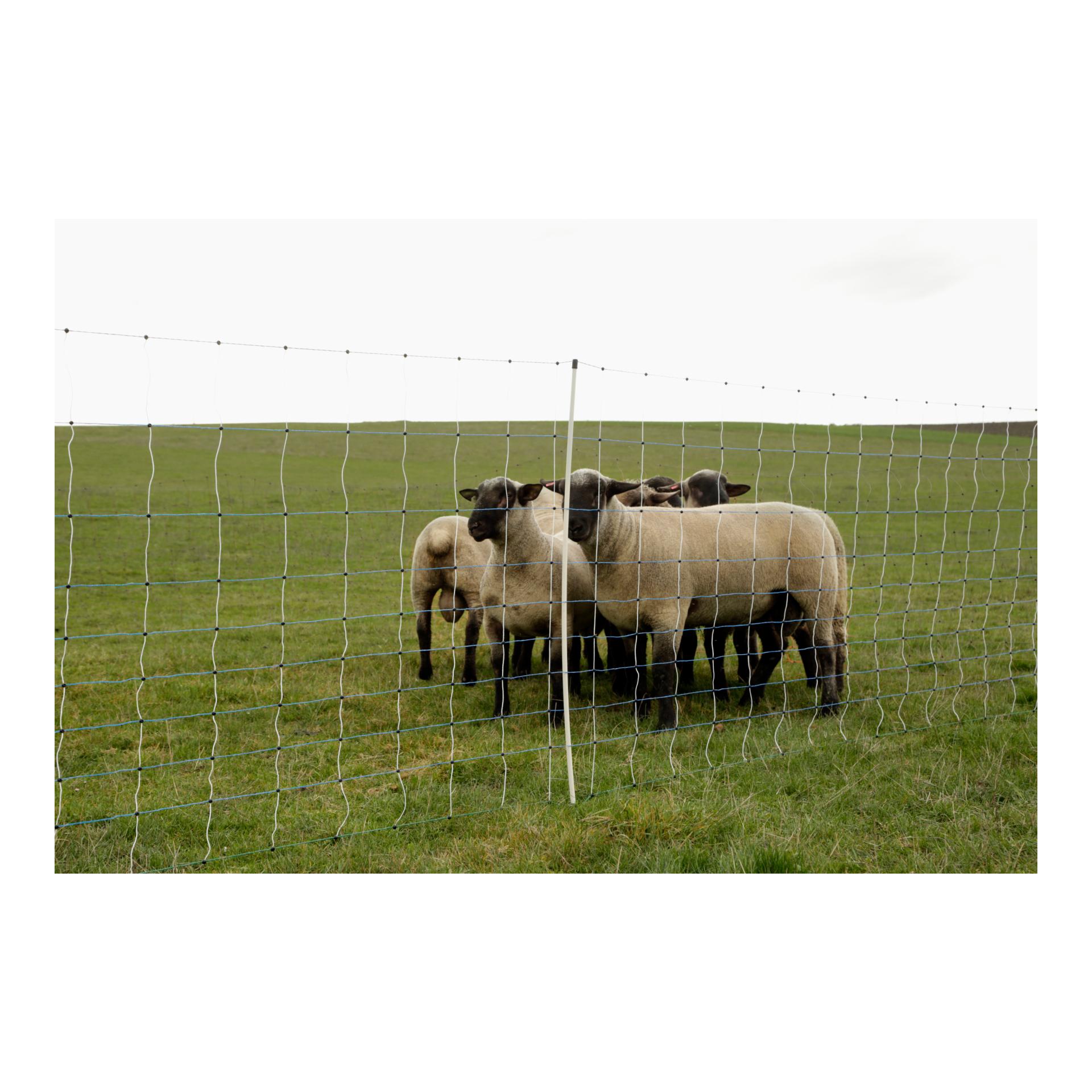 Weidenetz OviNet Maxi - 122 cm x 50 m - Produktbild 1