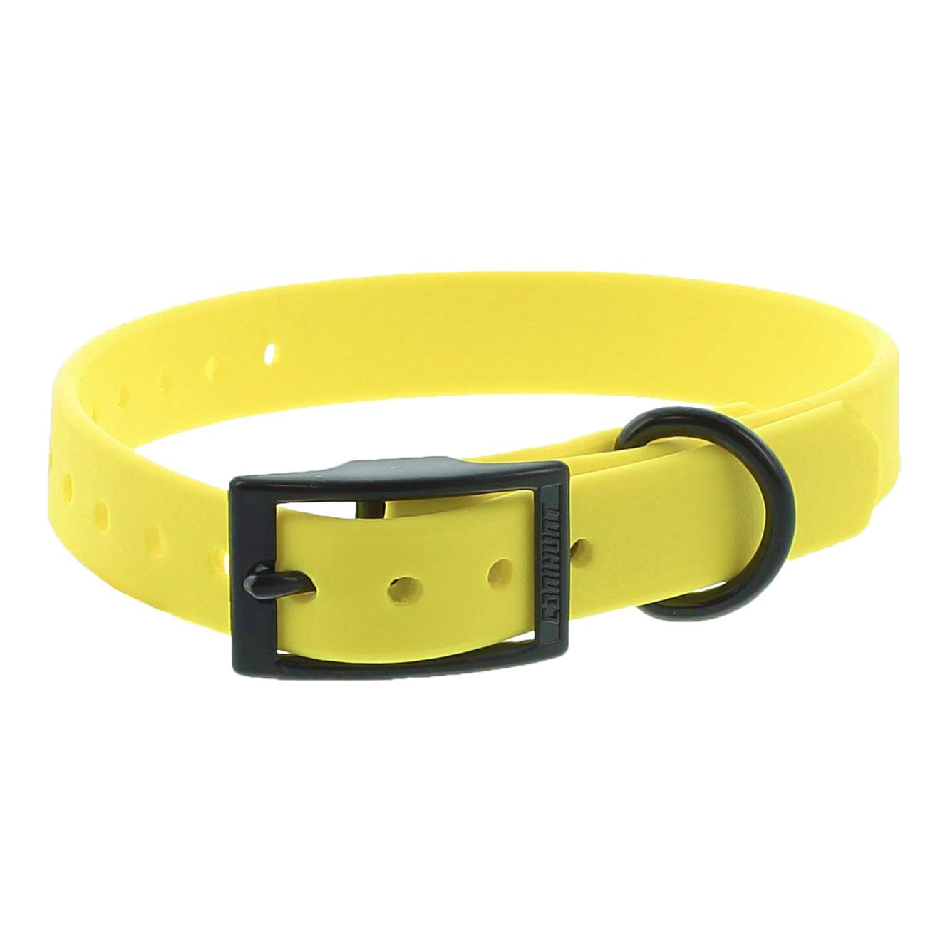Hundehalsband CTECH - Produktbild 1