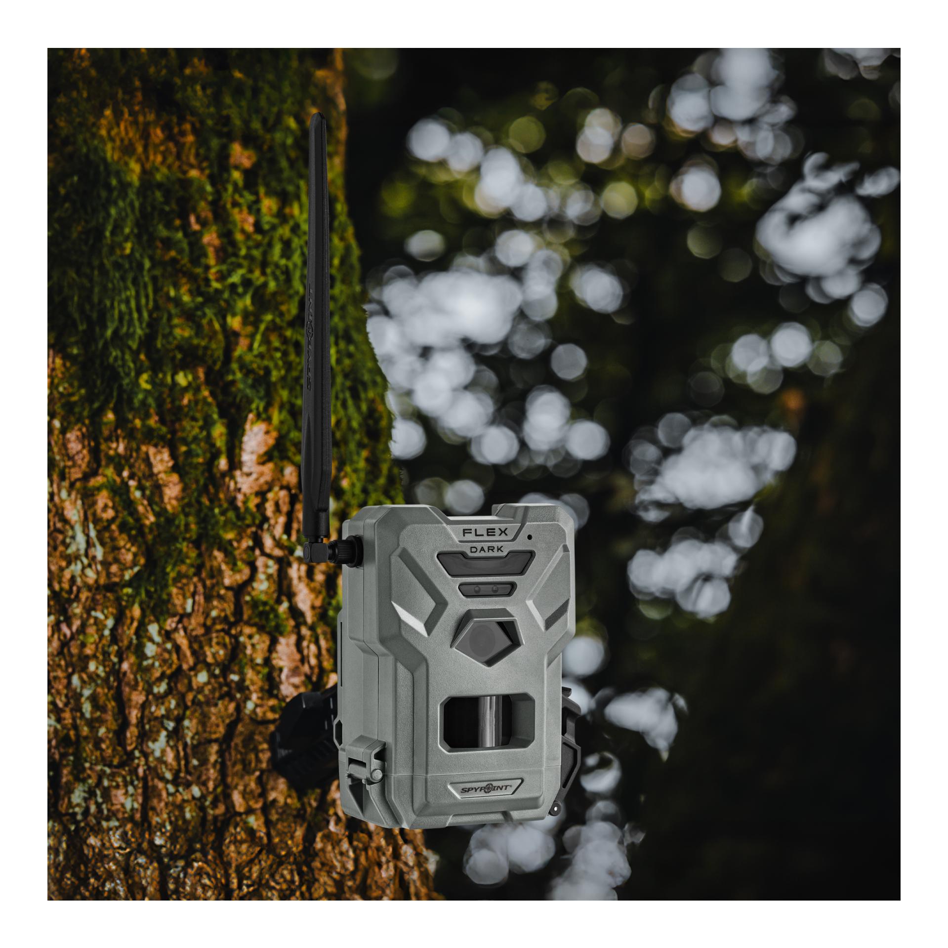 Wildkamera Flex-Dark Twin-Pack - Produktbild 2