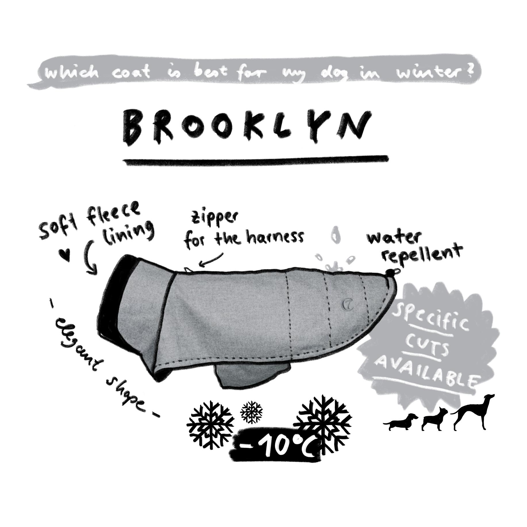 Hundemantel Brooklyn Regulär - fern green - Produktbild 2