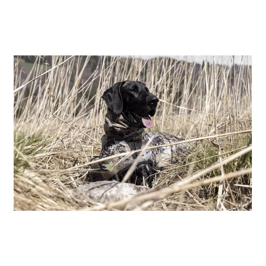 Hundeset HunTec Camo - Produktbild 2