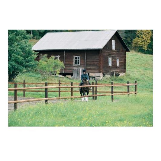 Octo Wood - Streckenpfahl - holz - Produktbild 2