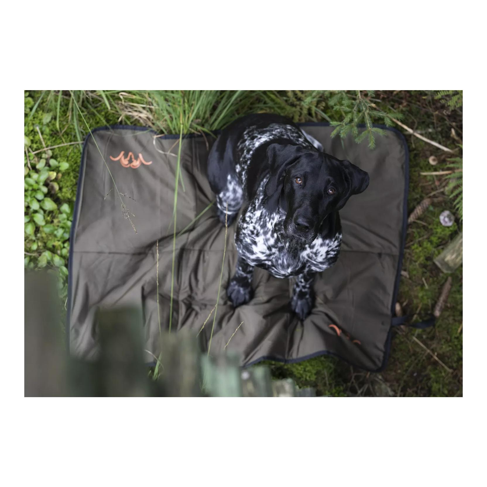 Hundedecke Oliv - Produktbild 5
