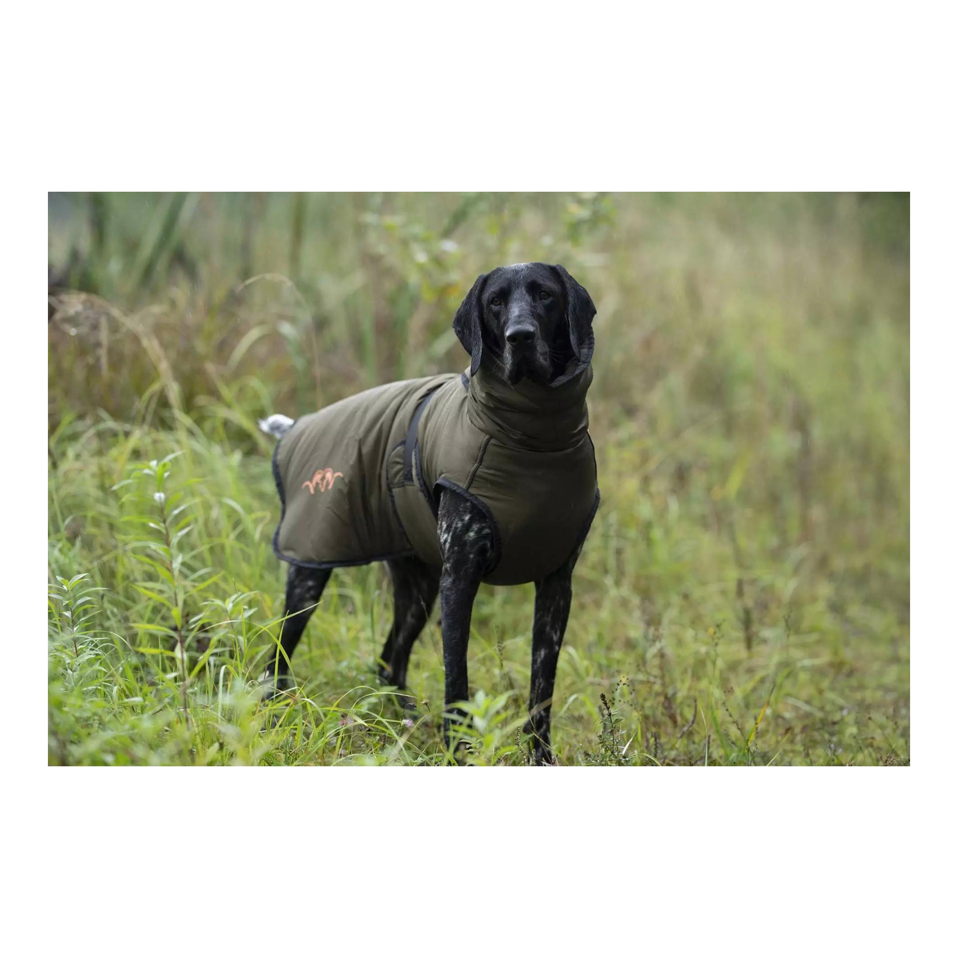 Hundeponcho Oliv - Produktbild 2