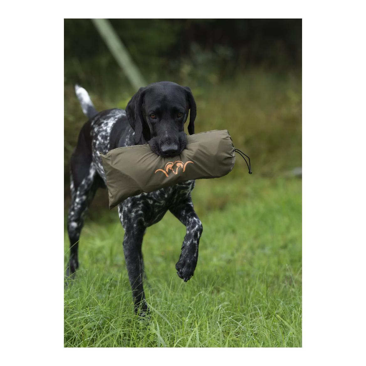 Hundedecke Oliv - Produktbild 4