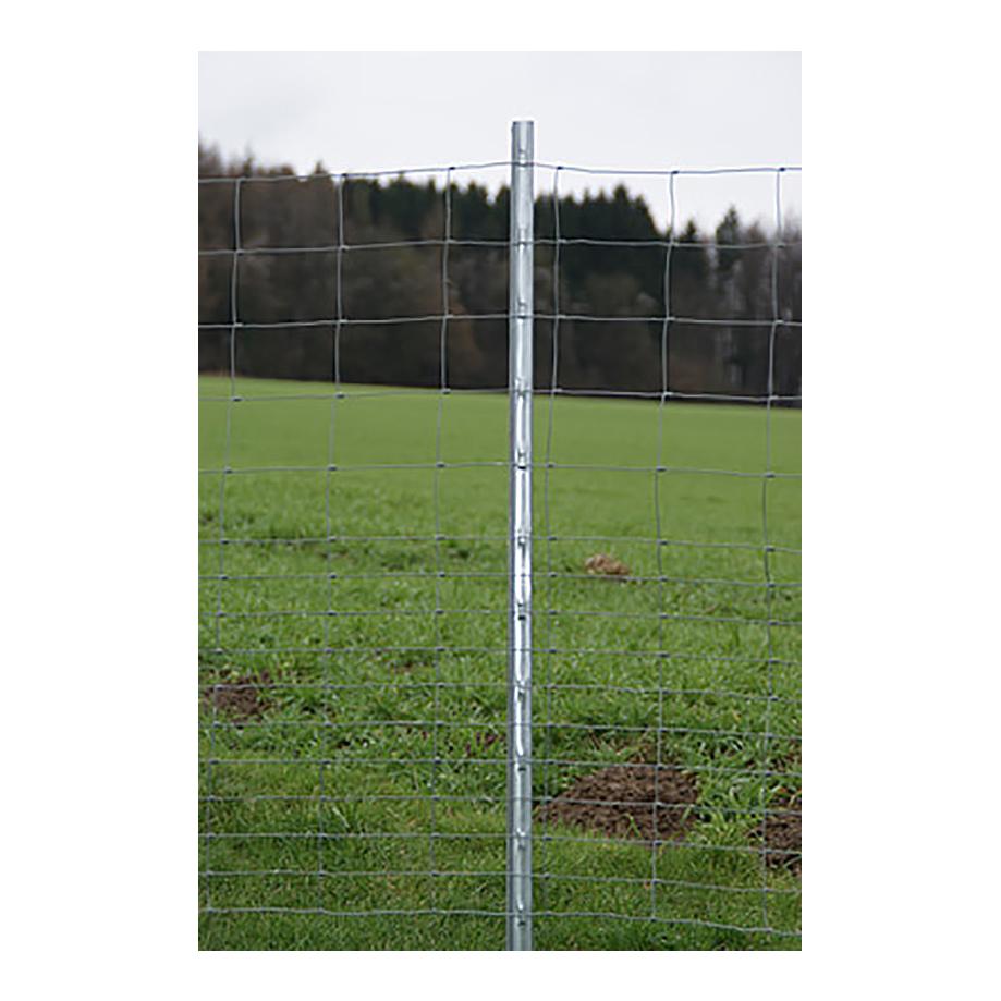 Z-Profil-Stahlpfahl - Produktbild 3