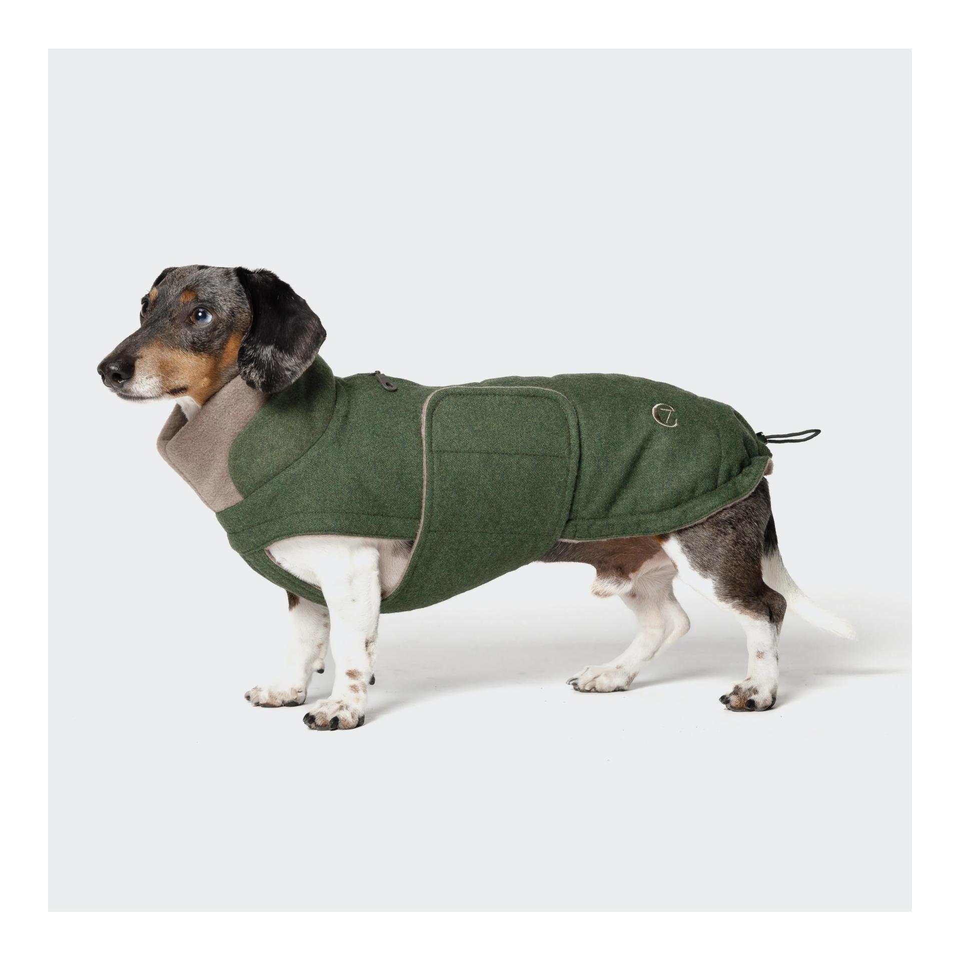 Hundemantel Brooklyn Flanell Dackel - Produktbild 3