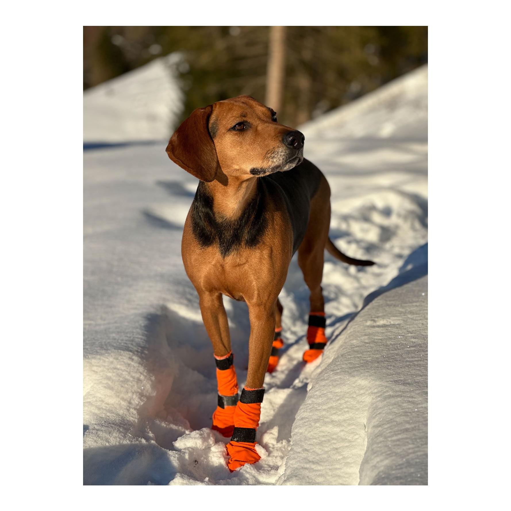Contact Bootie High Hundeschuhe - Produktbild 5
