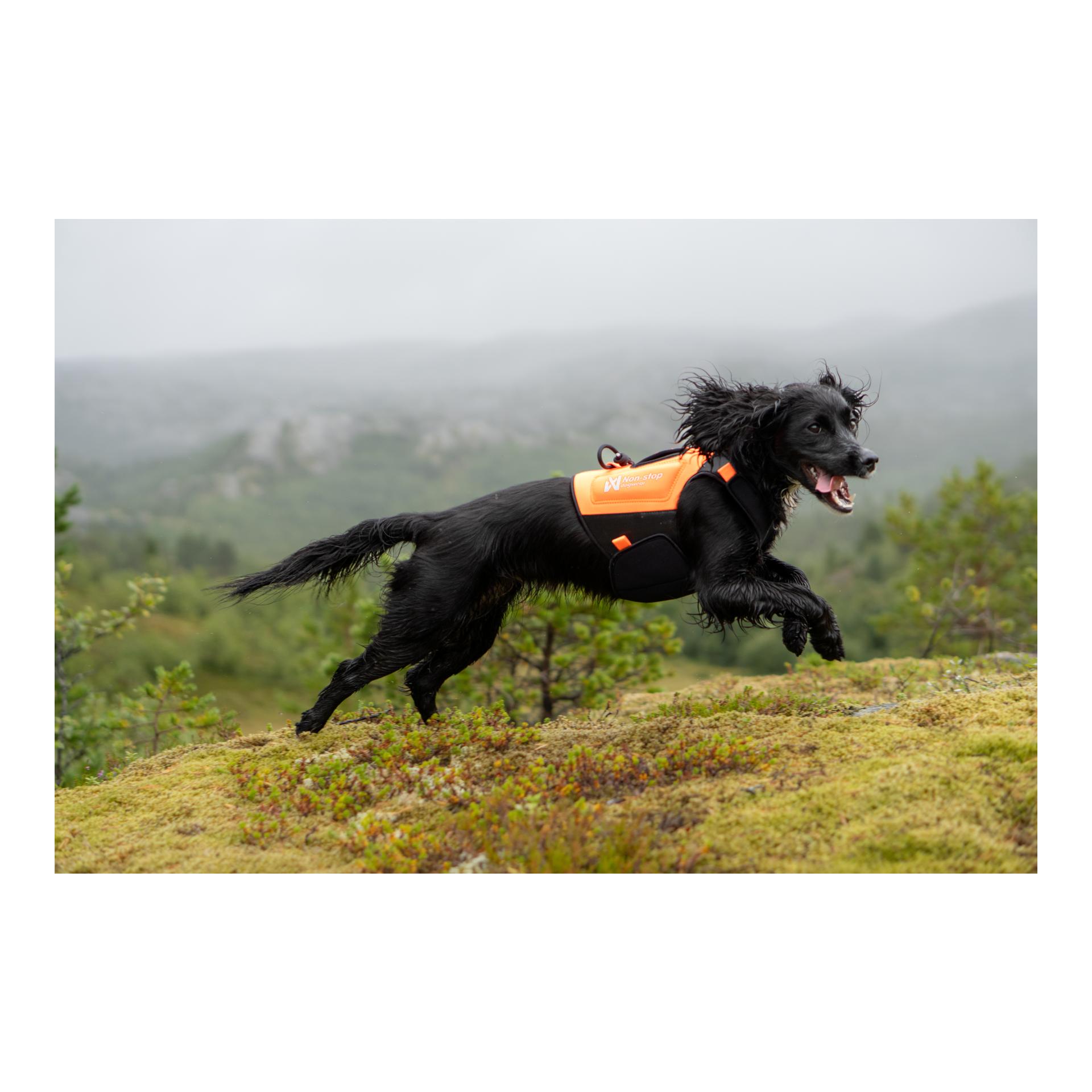 Protector neoprene vest - Produktbild 2