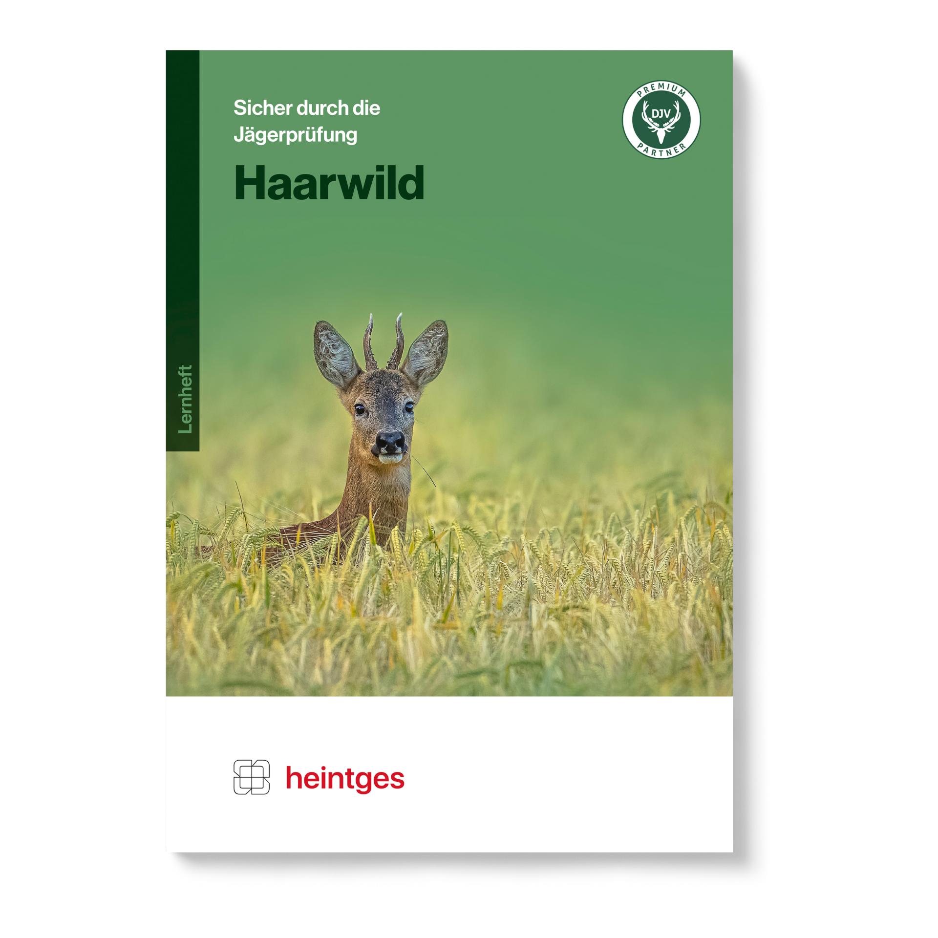 Lernheft Haarwild - Produktbild 1