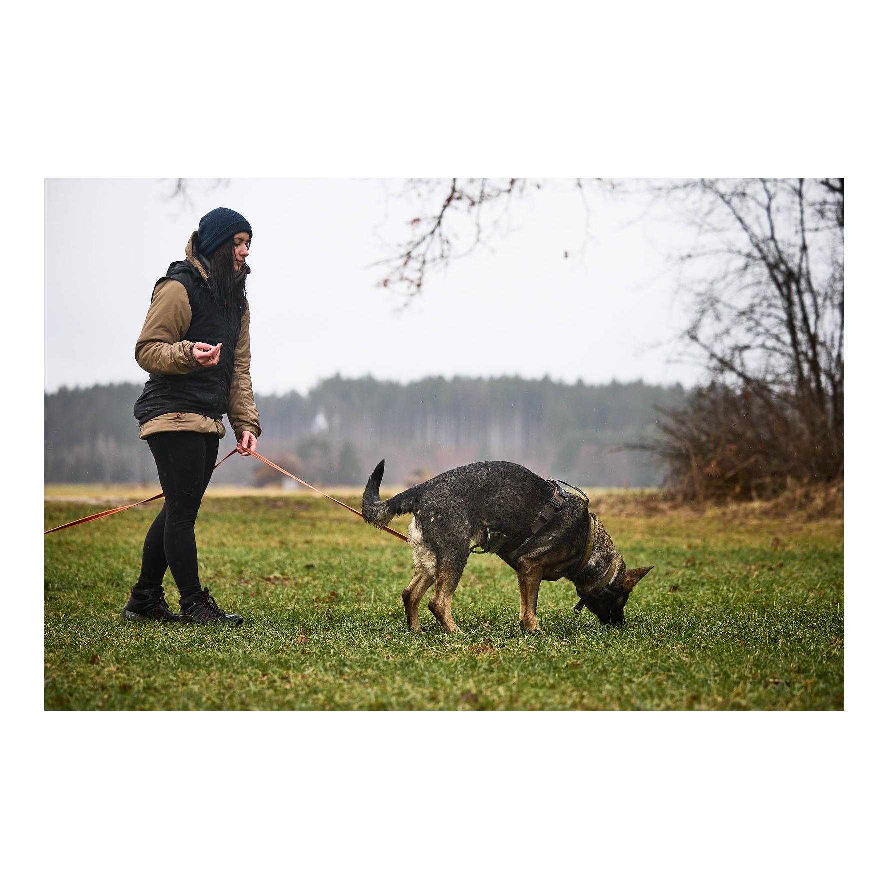 Hundegeschirr Line Harness Grip Working Dog - Produktbild 2