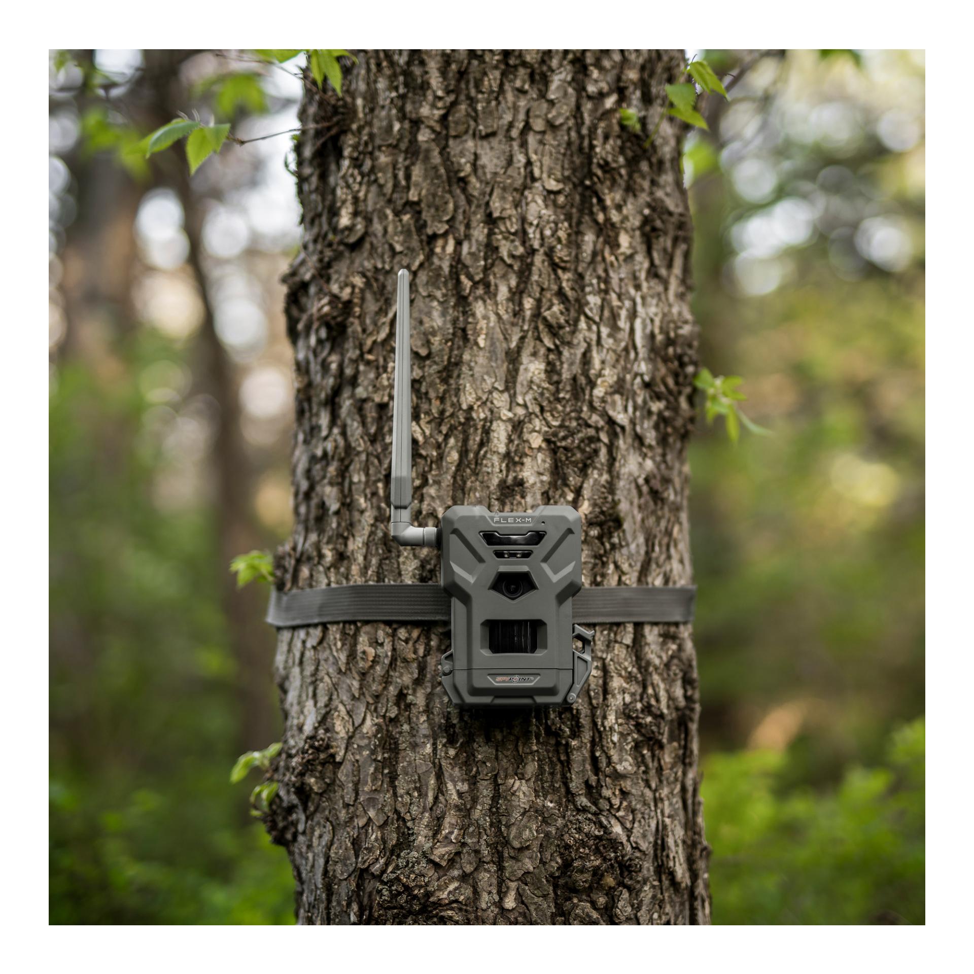 Wildkamera FLEX-M Twin Pack - Produktbild 5