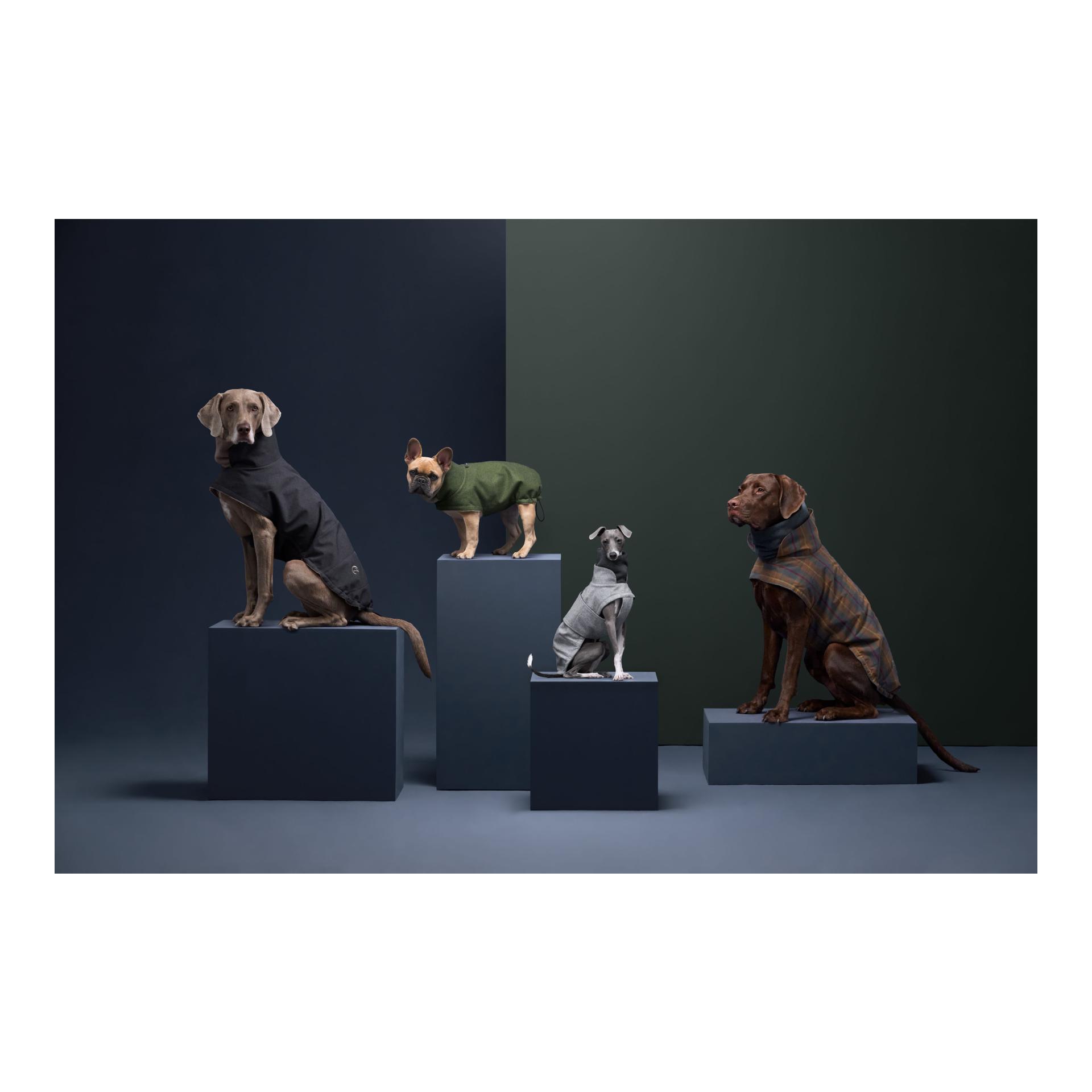 Hundemantel Brooklyn Regulär - fern green - Produktbild 3