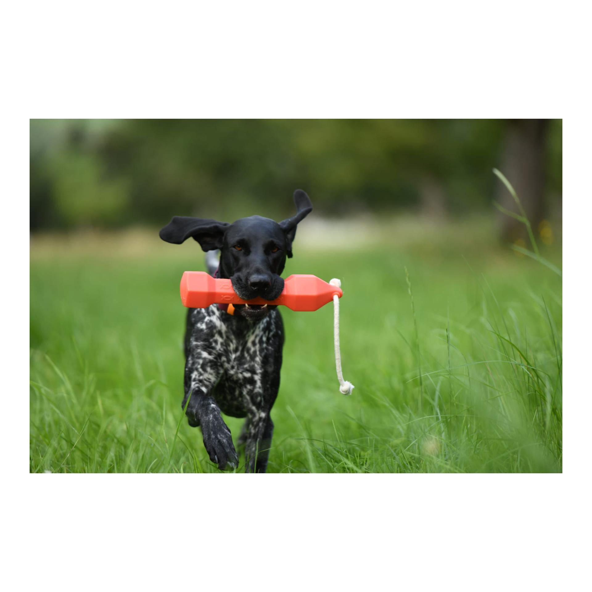Apportierdummy Balance Bumper 320g - Produktbild 4