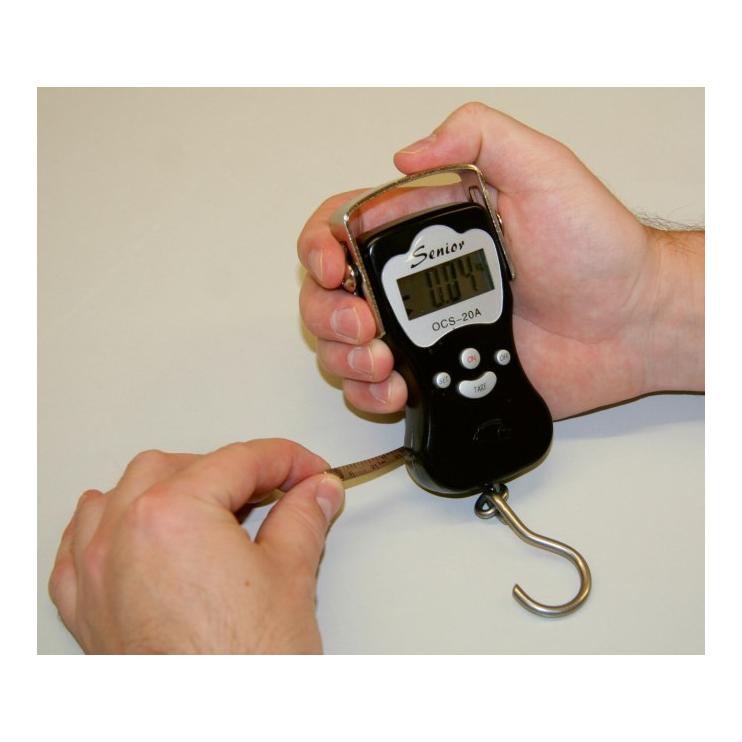 Digitale Hängewaage DigiScale 50 - Produktbild 2
