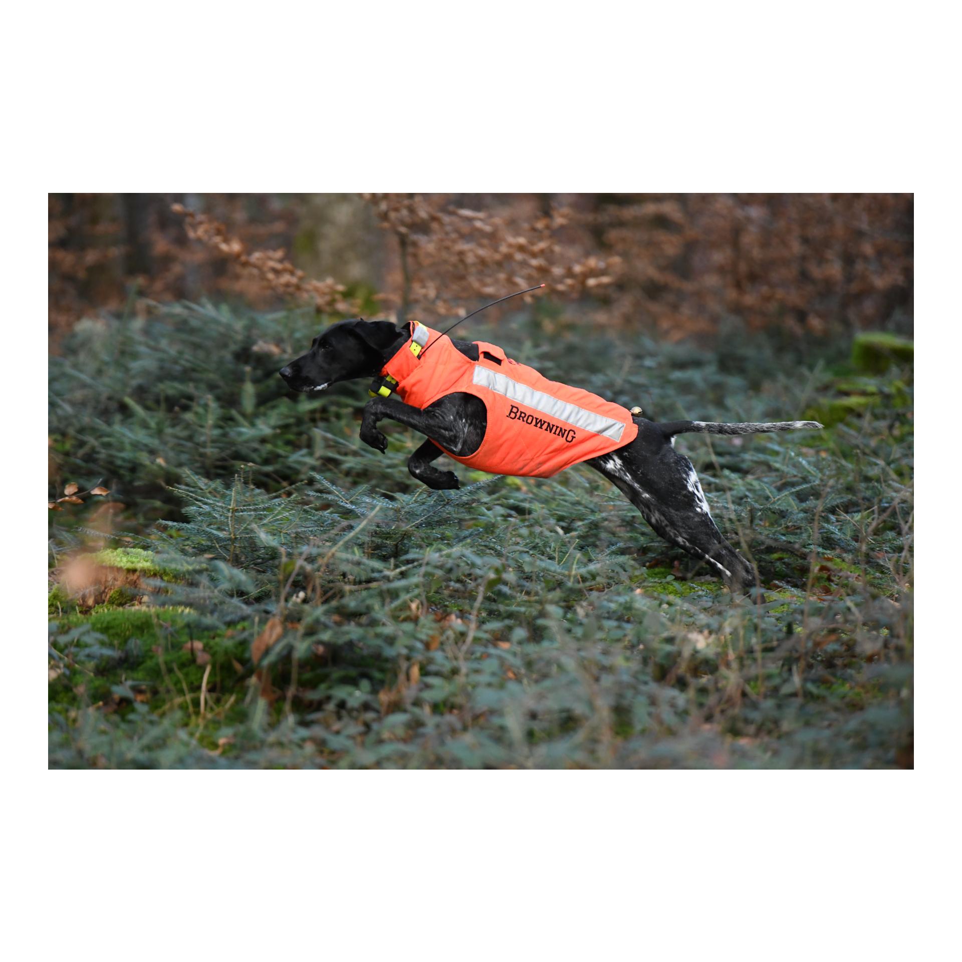 Hundeschutzweste Protect Hunter - Produktbild 2