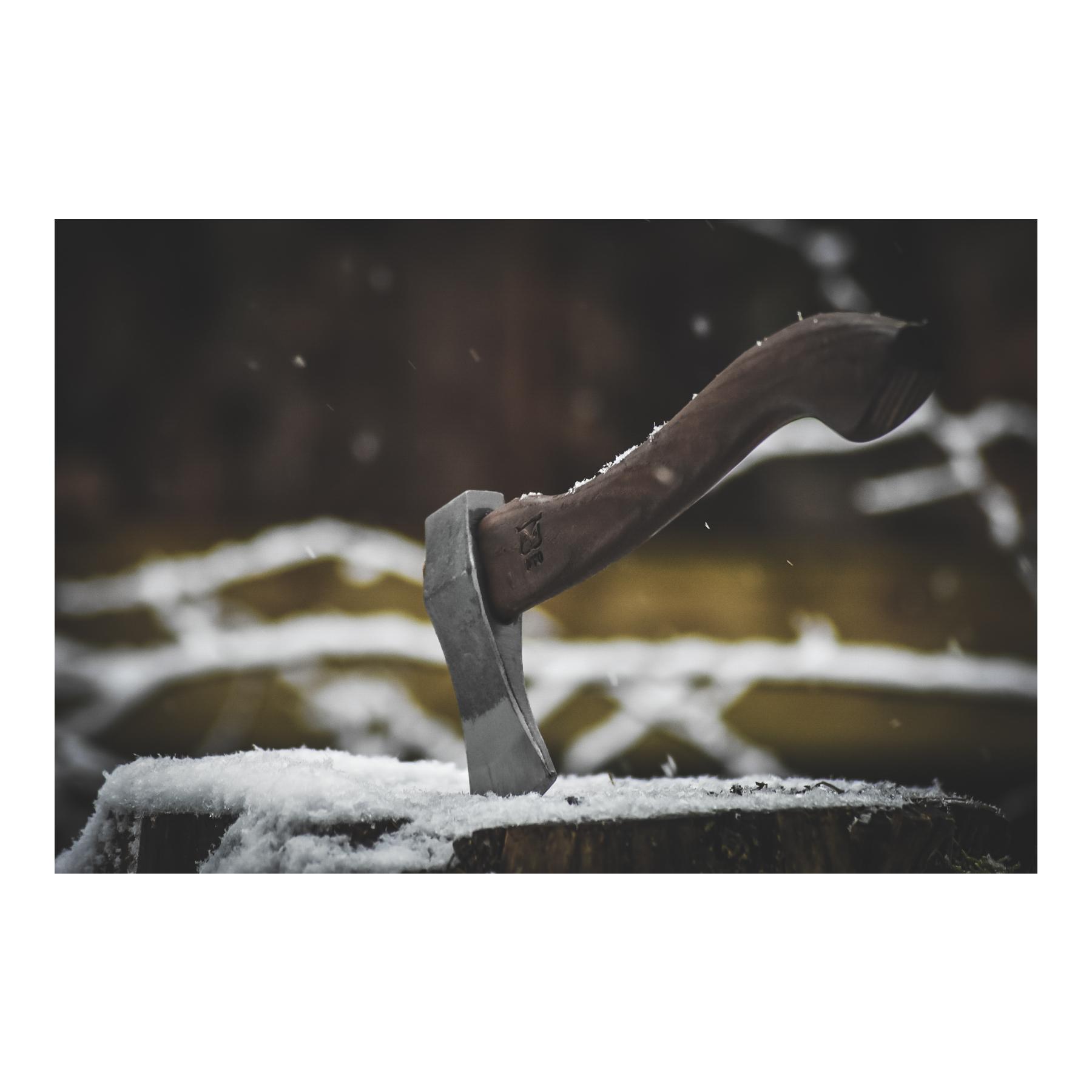 VIKINGØKS - Wikingerbeil - Produktbild 5